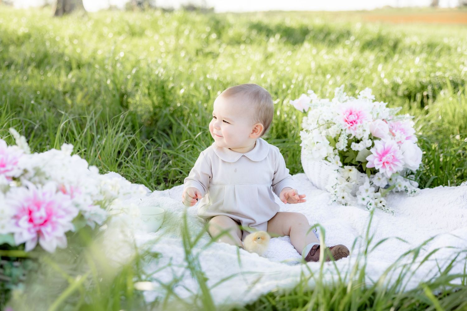 Spring Mini Session with baby chicks in a grass field at sunset near Dothan, Alabama