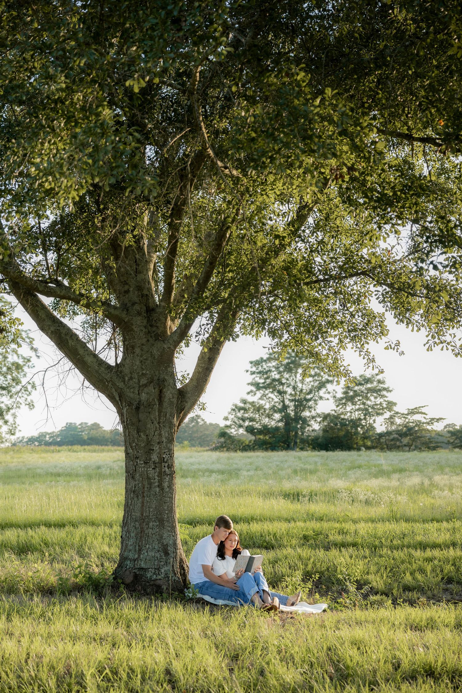 Romantic couple photos in a natural grass field setting with large trees at sunset.