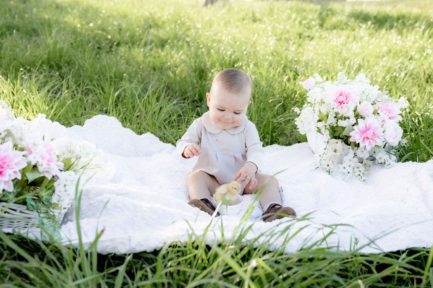 Spring Mini Session with baby chicks in a grass field at sunset near Dothan, Alabama