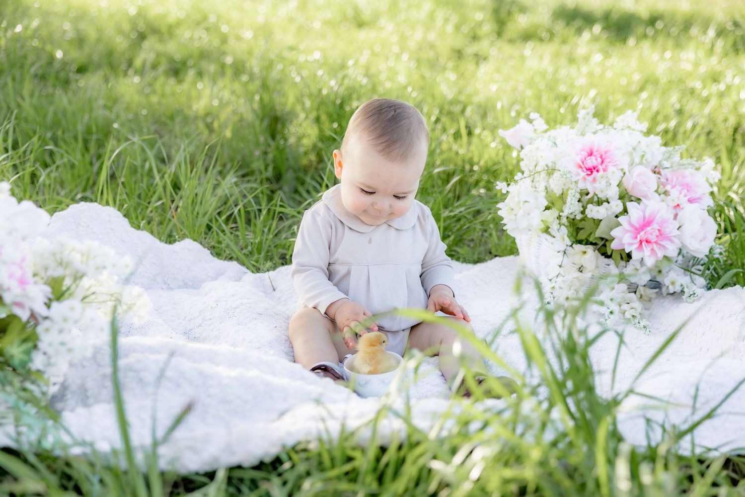 Spring Mini Session with baby chicks in a grass field at sunset near Dothan, Alabama
