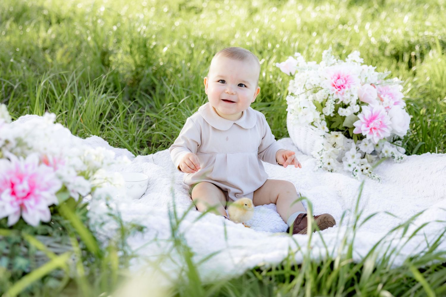 Spring Mini Session with baby chicks in a grass field at sunset near Dothan, Alabama
