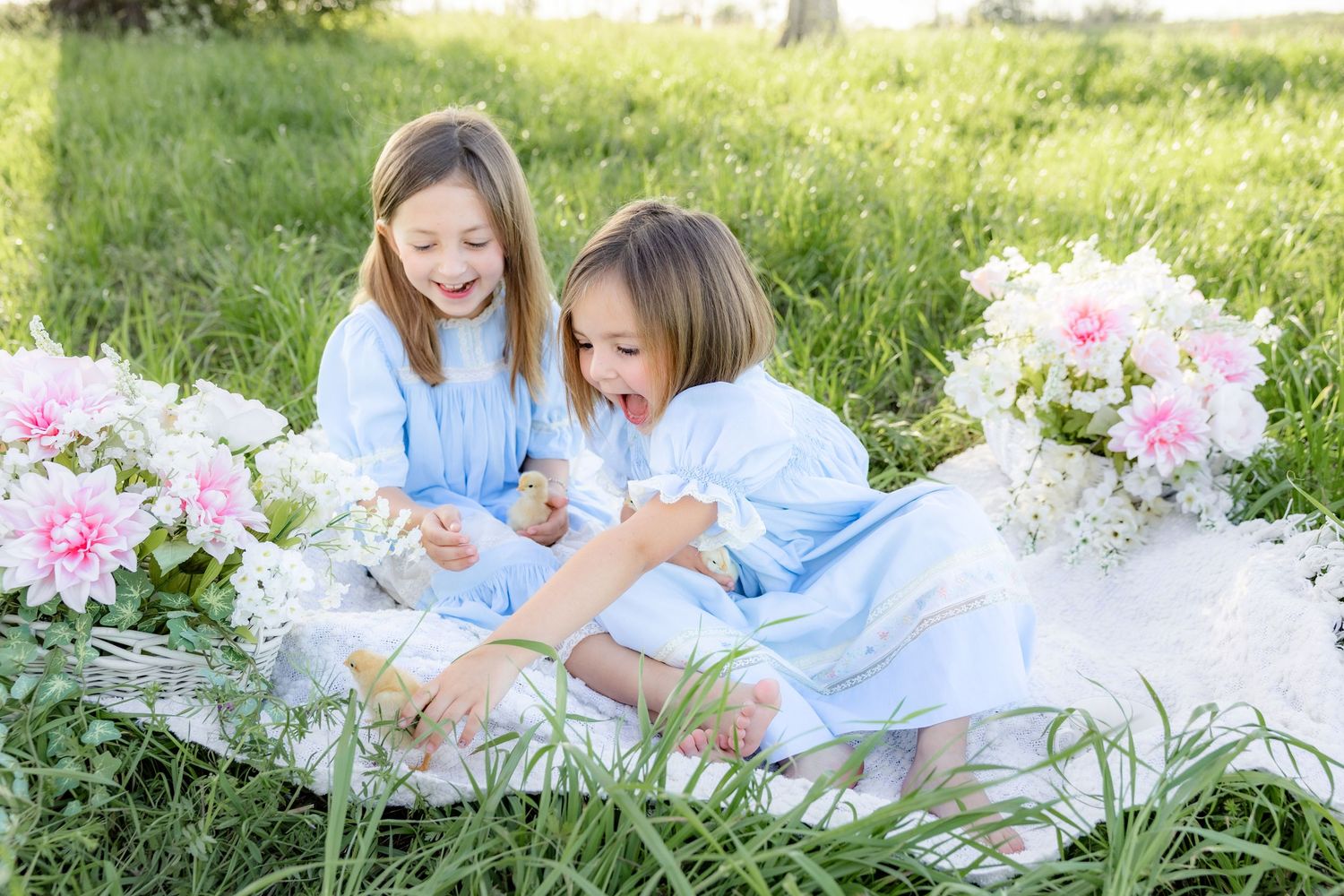 Spring Mini Session with baby chicks in a grass field at sunset near Dothan, Alabama