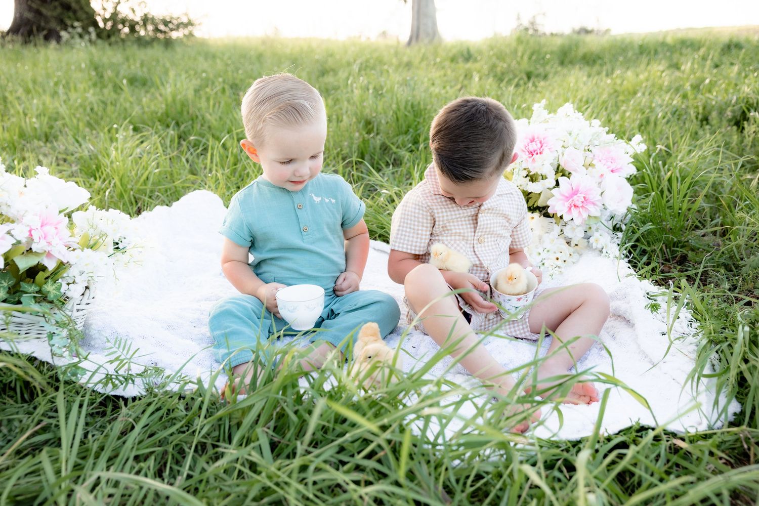 Spring Mini Session with baby chicks in a grass field at sunset near Dothan, Alabama