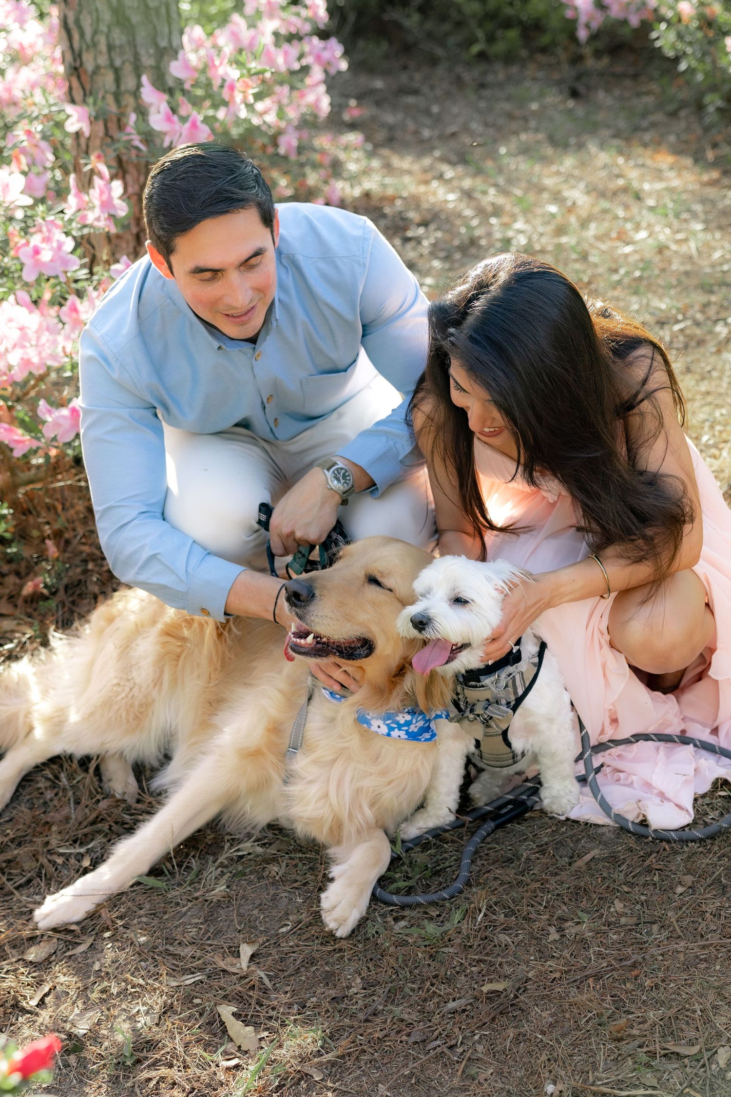 Romantic Spring Couple Photos with their dogs at Dothan Area Botanical Gardens in Alabama