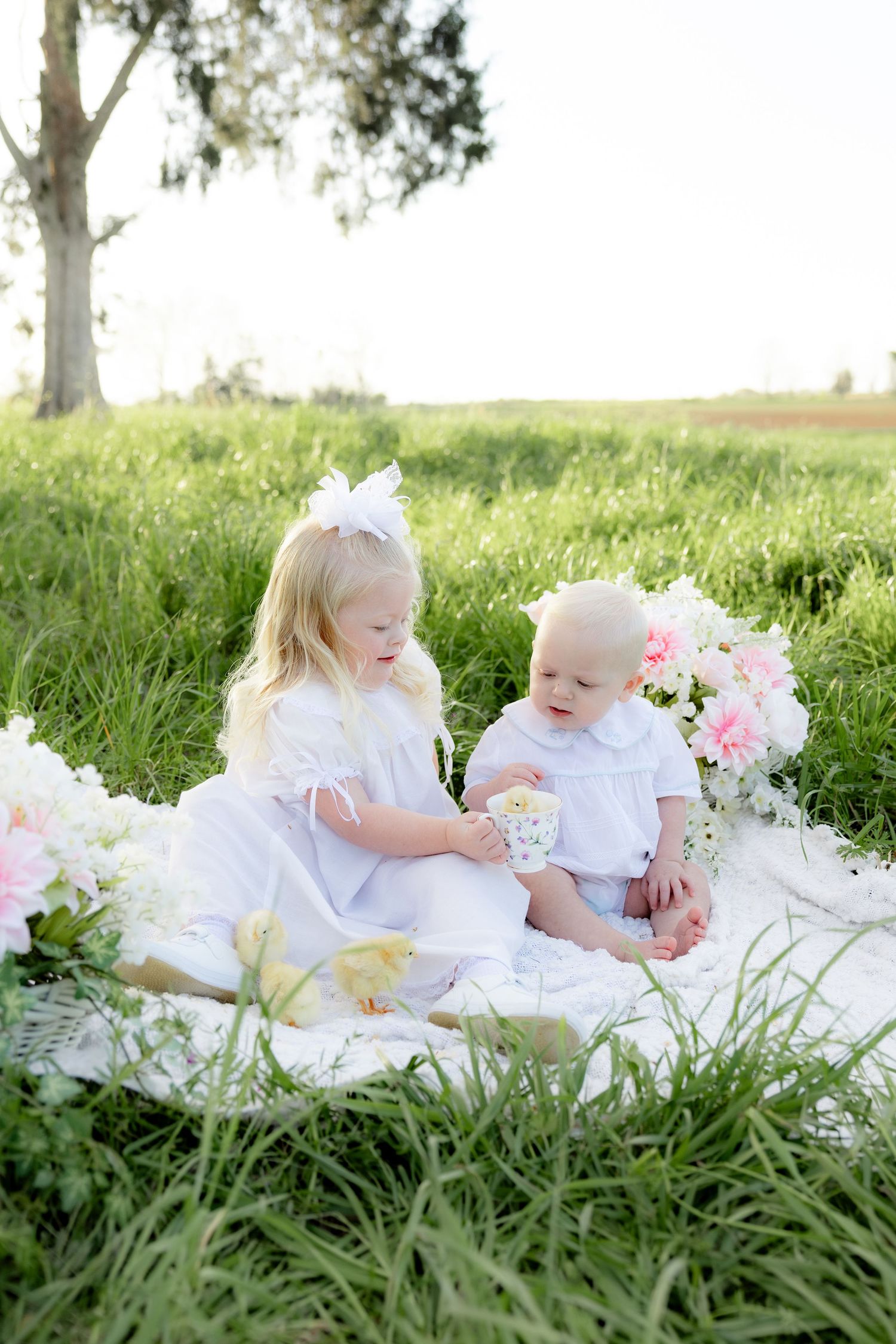 Spring Mini Session with baby chicks in a grass field at sunset near Dothan, Alabama