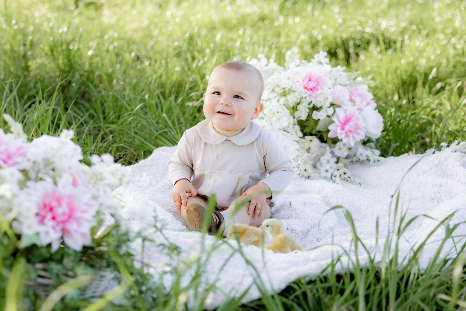 Spring Mini Session with baby chicks in a grass field at sunset near Dothan, Alabama