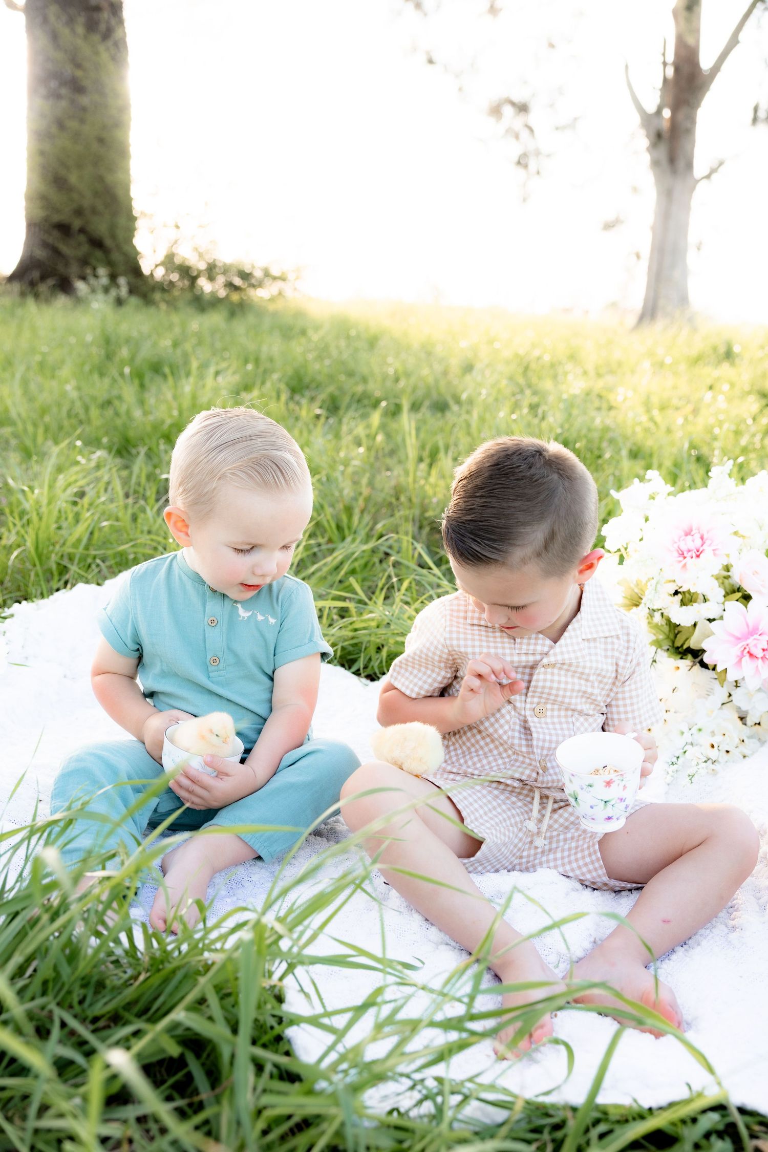 Spring Mini Session with baby chicks in a grass field at sunset near Dothan, Alabama