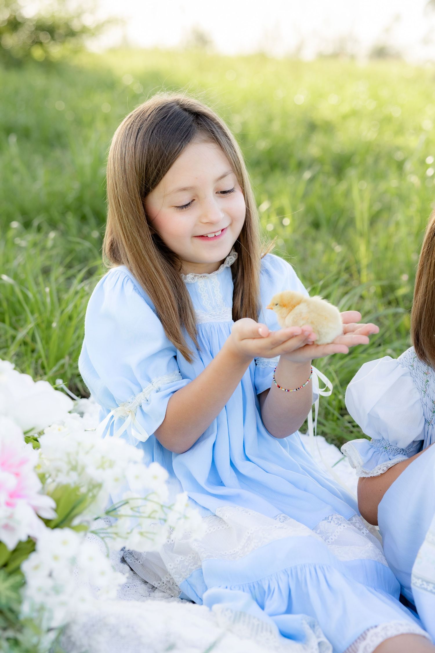 Spring Mini Session with baby chicks in a grass field at sunset near Dothan, Alabama