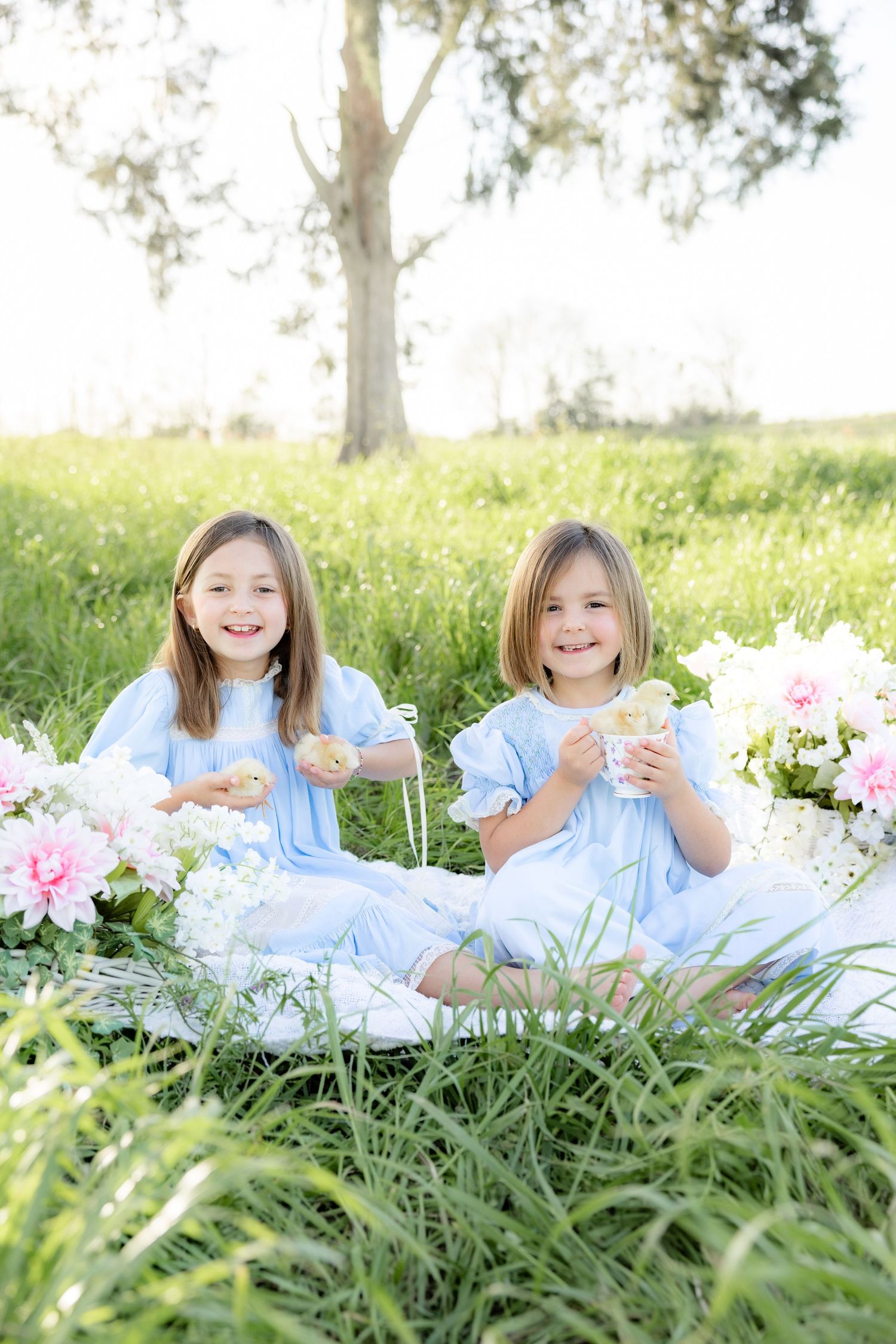 Spring Mini Session with baby chicks in a grass field at sunset near Dothan, Alabama