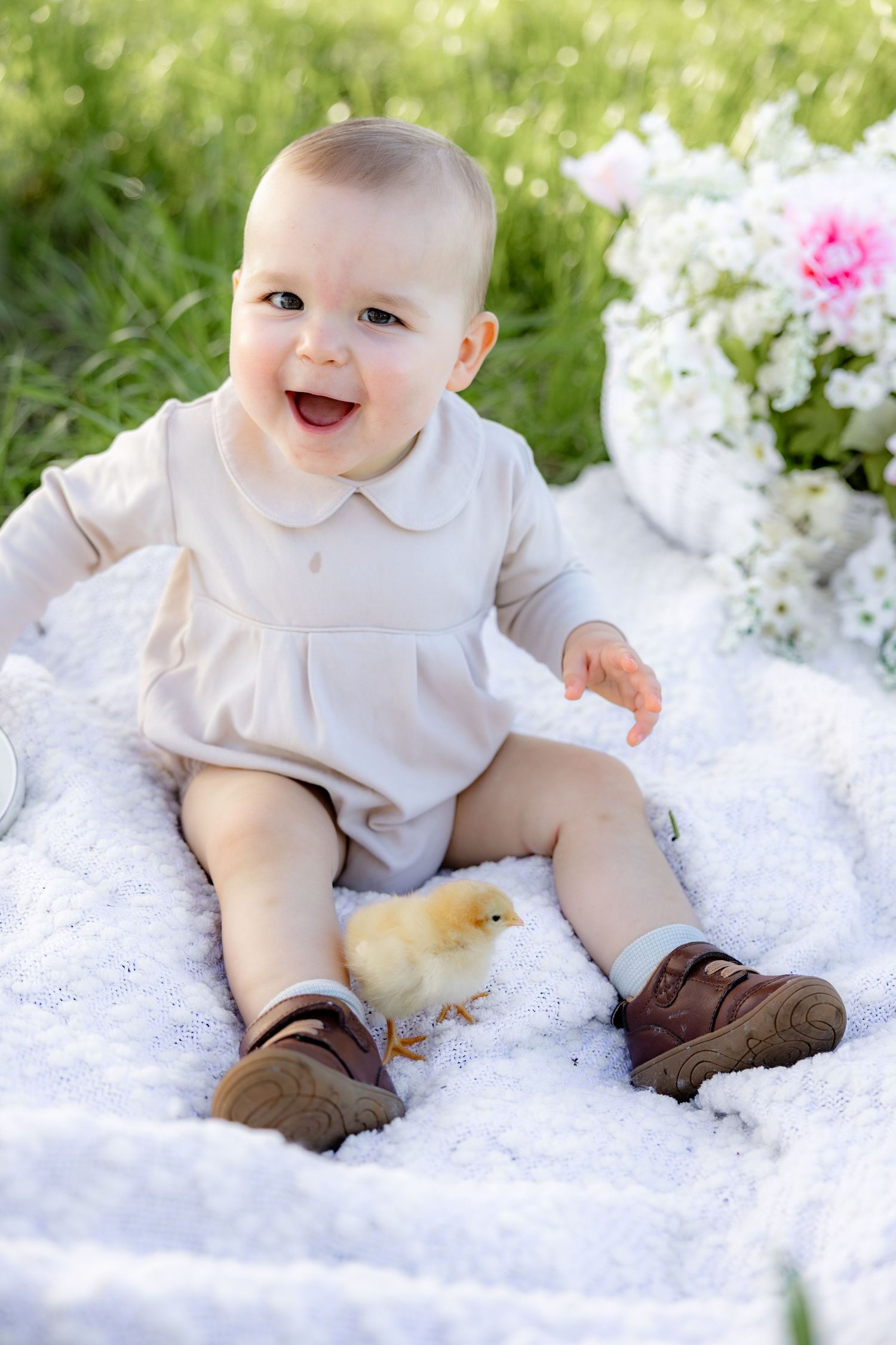 Spring Mini Session with baby chicks in a grass field at sunset near Dothan, Alabama