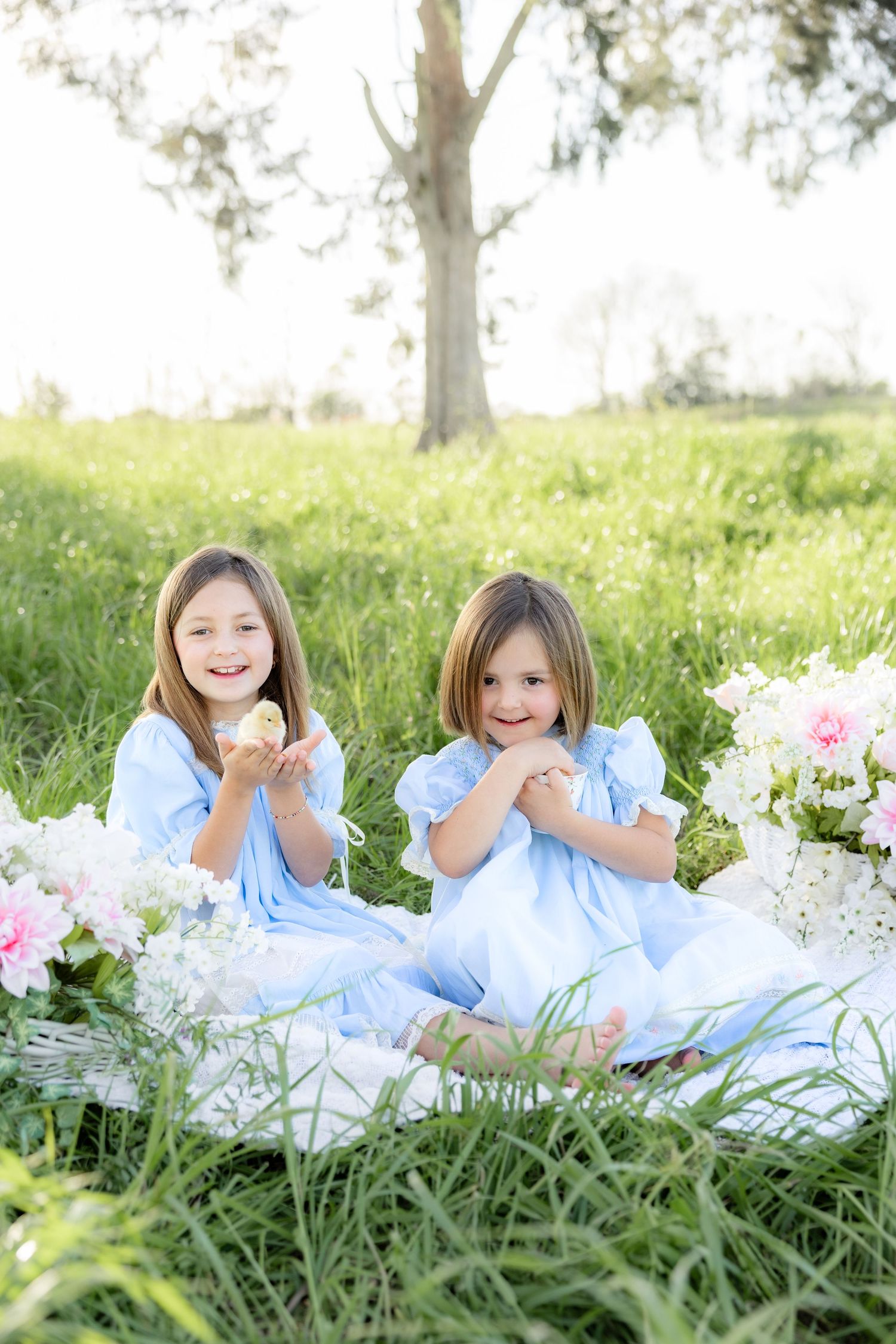 Spring Mini Session with baby chicks in a grass field at sunset near Dothan, Alabama