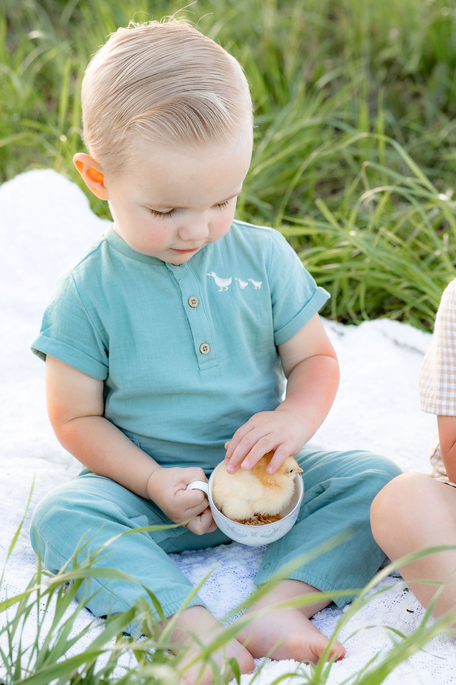 Spring Mini Session with baby chicks in a grass field at sunset near Dothan, Alabama