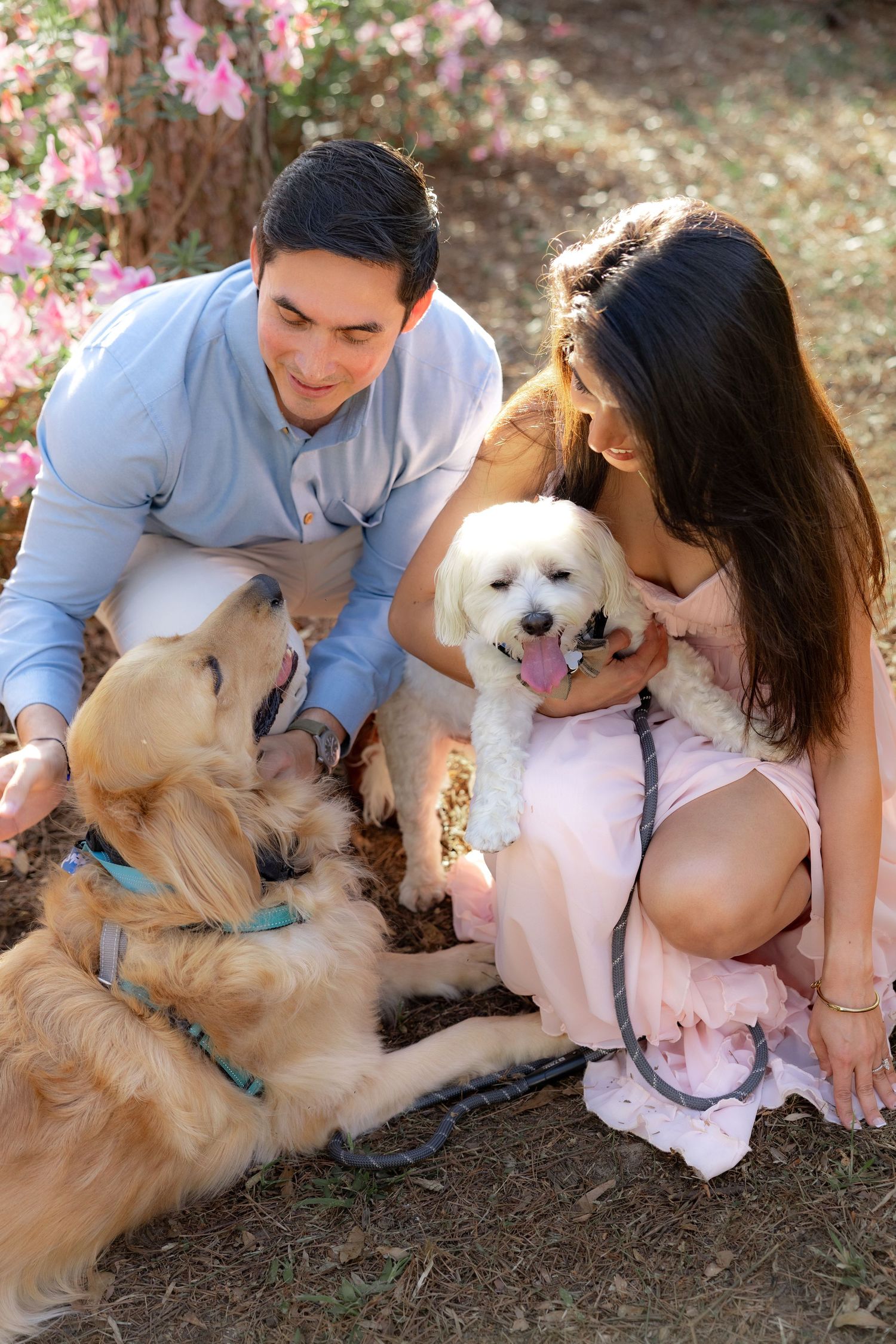 Romantic Spring Couple Photos with their dogs at Dothan Area Botanical Gardens in Alabama