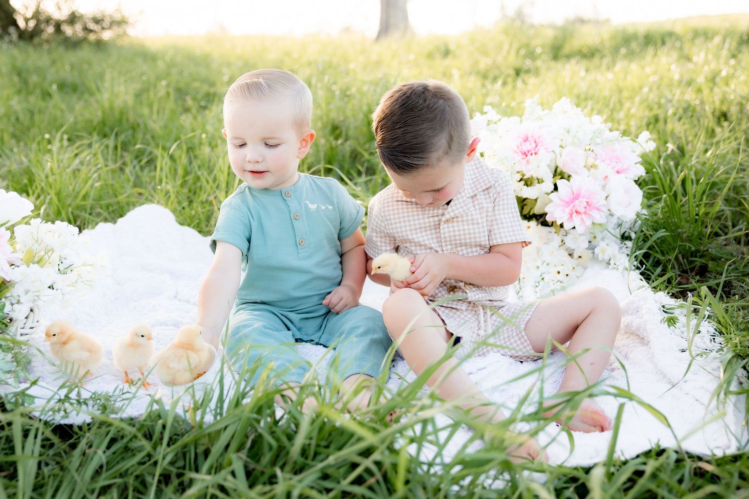 Spring Mini Session with baby chicks in a grass field at sunset near Dothan, Alabama