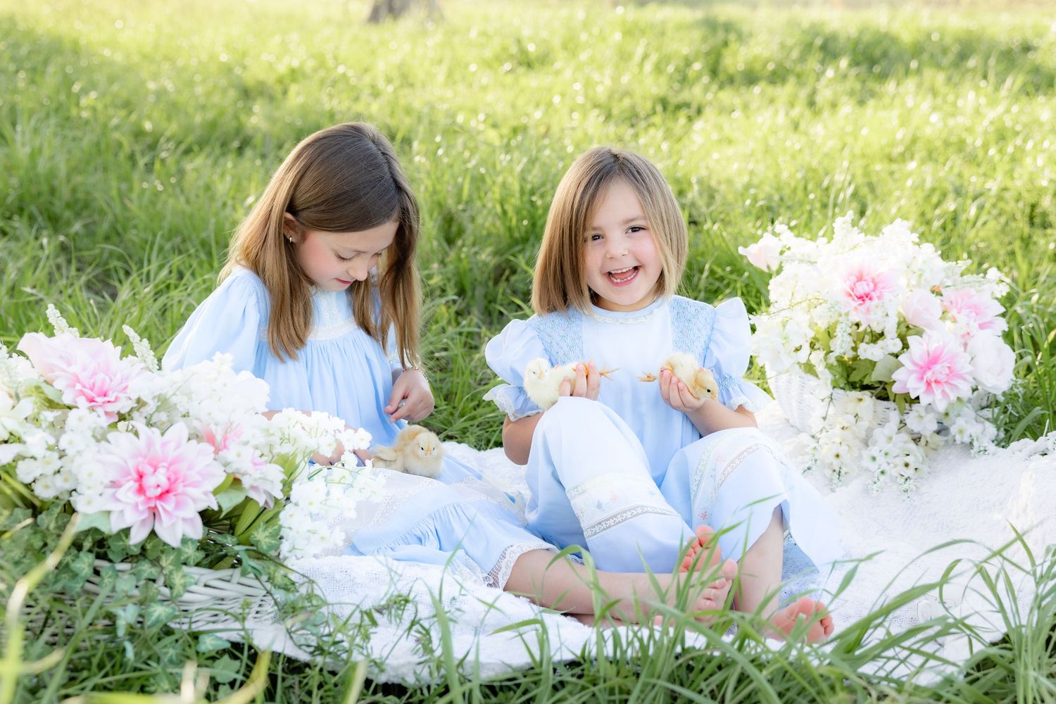 Spring Mini Session with baby chicks in a grass field at sunset near Dothan, Alabama