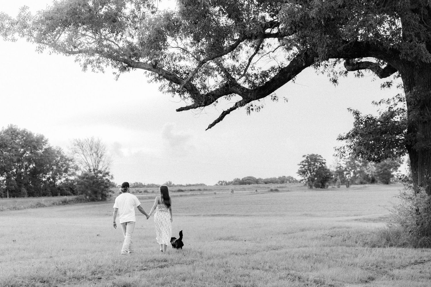 Romantic couple photos in a natural grass field setting with large trees at sunset.