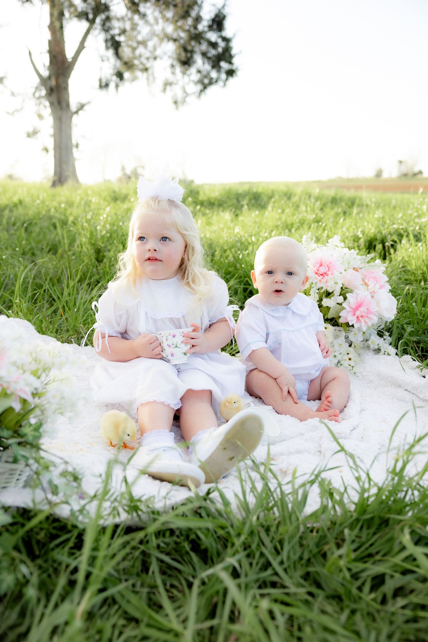 Spring Mini Session with baby chicks in a grass field at sunset near Dothan, Alabama