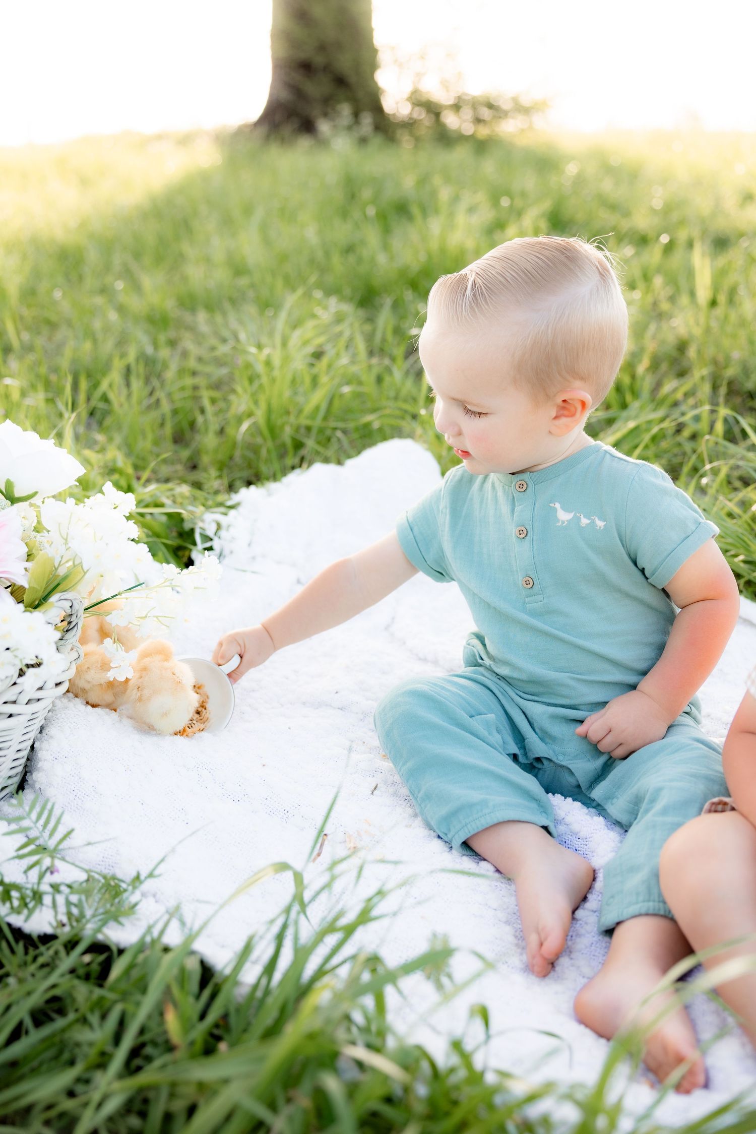 Spring Mini Session with baby chicks in a grass field at sunset near Dothan, Alabama