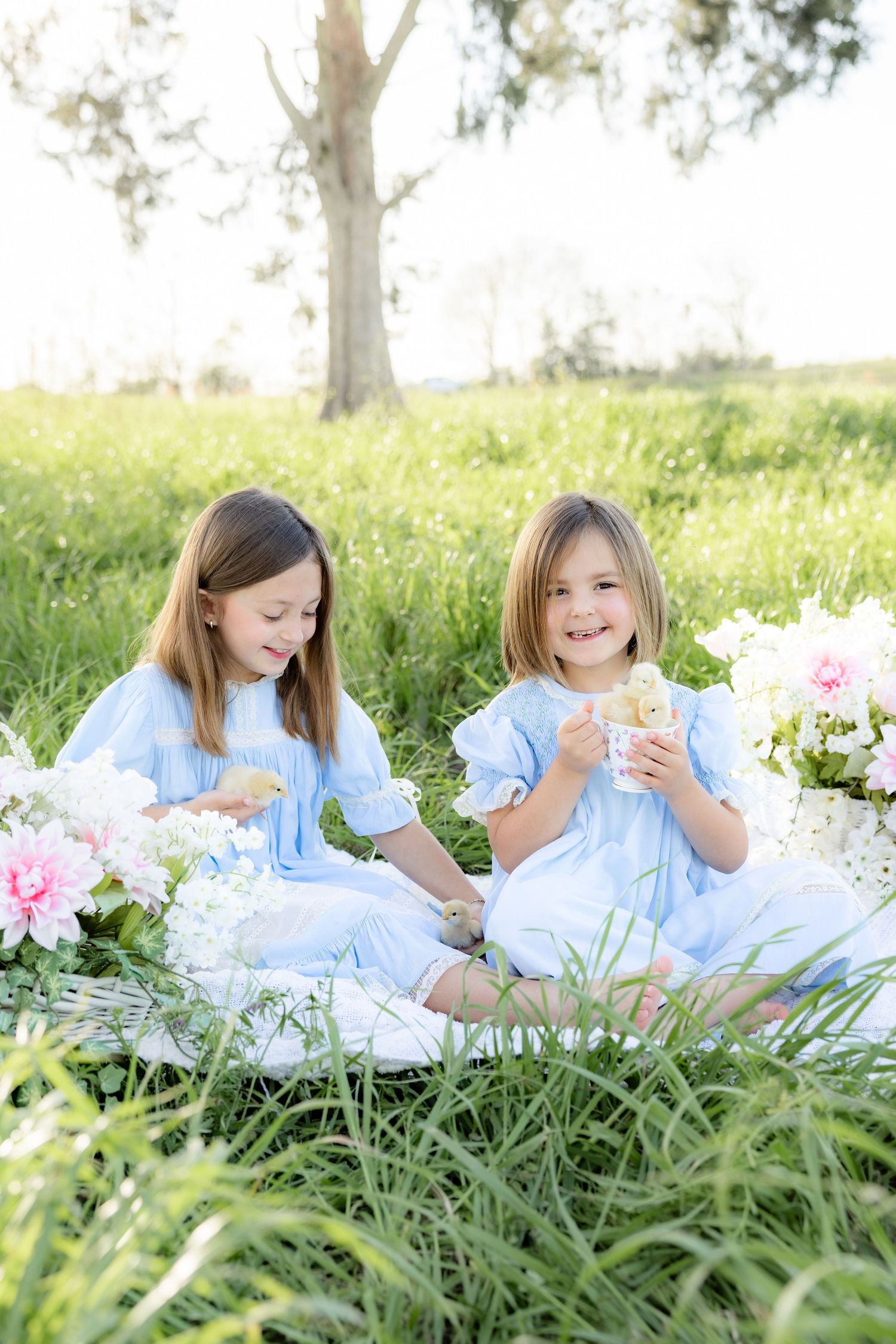 Spring Mini Session with baby chicks in a grass field at sunset near Dothan, Alabama