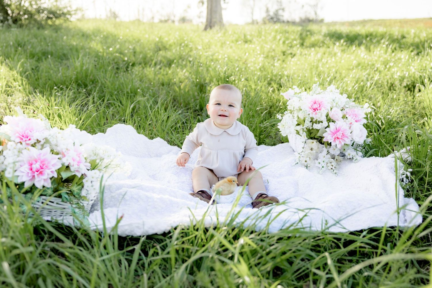 Spring Mini Session with baby chicks in a grass field at sunset near Dothan, Alabama