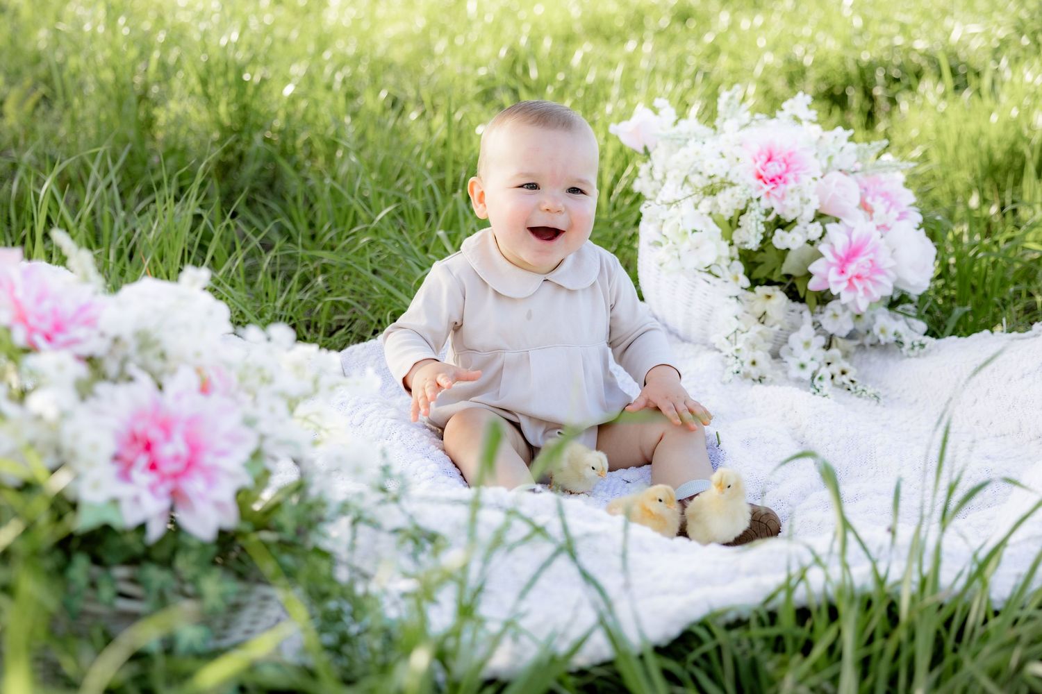 Spring Mini Session with baby chicks in a grass field at sunset near Dothan, Alabama