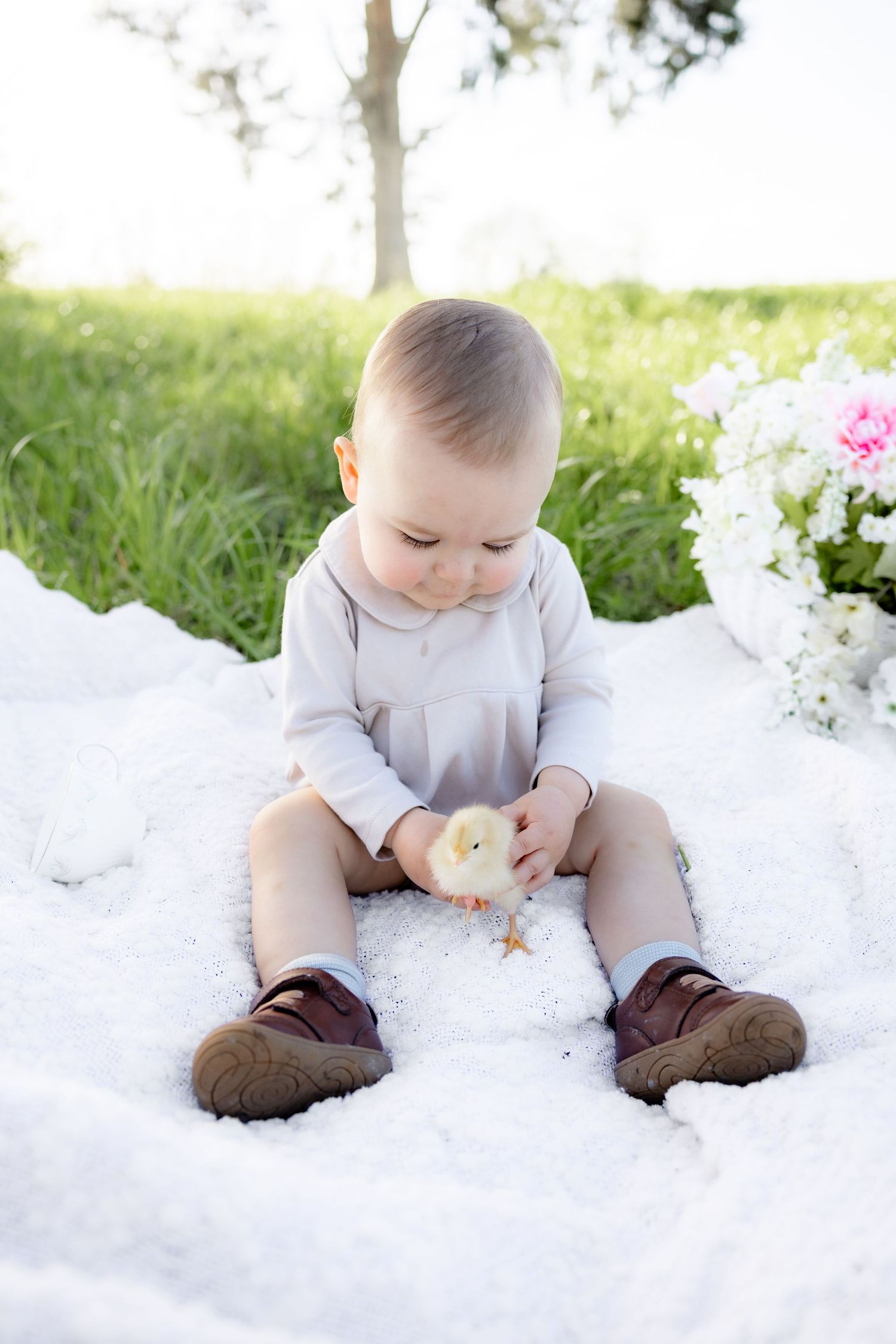 Spring Mini Session with baby chicks in a grass field at sunset near Dothan, Alabama