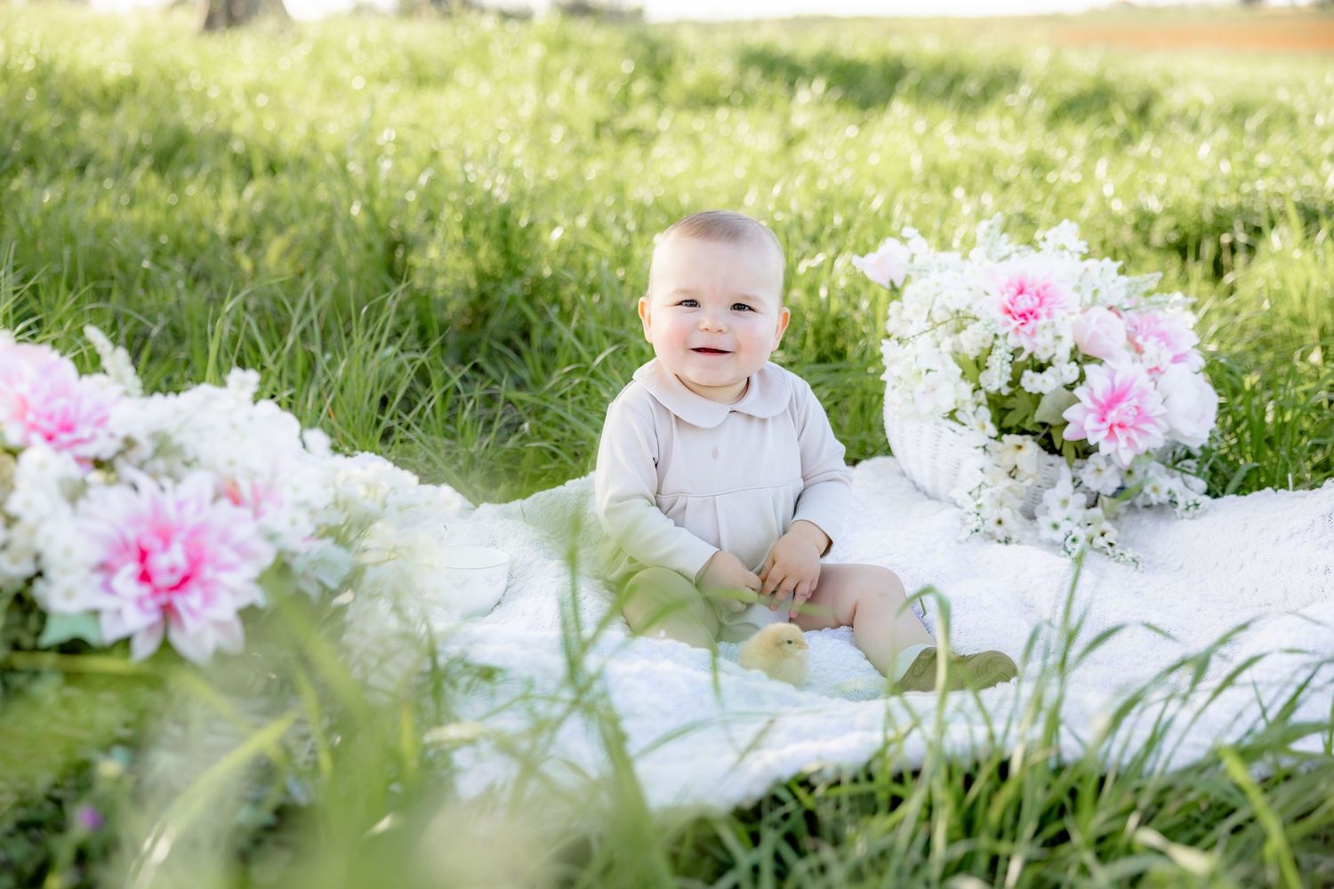 Spring Mini Session with baby chicks in a grass field at sunset near Dothan, Alabama