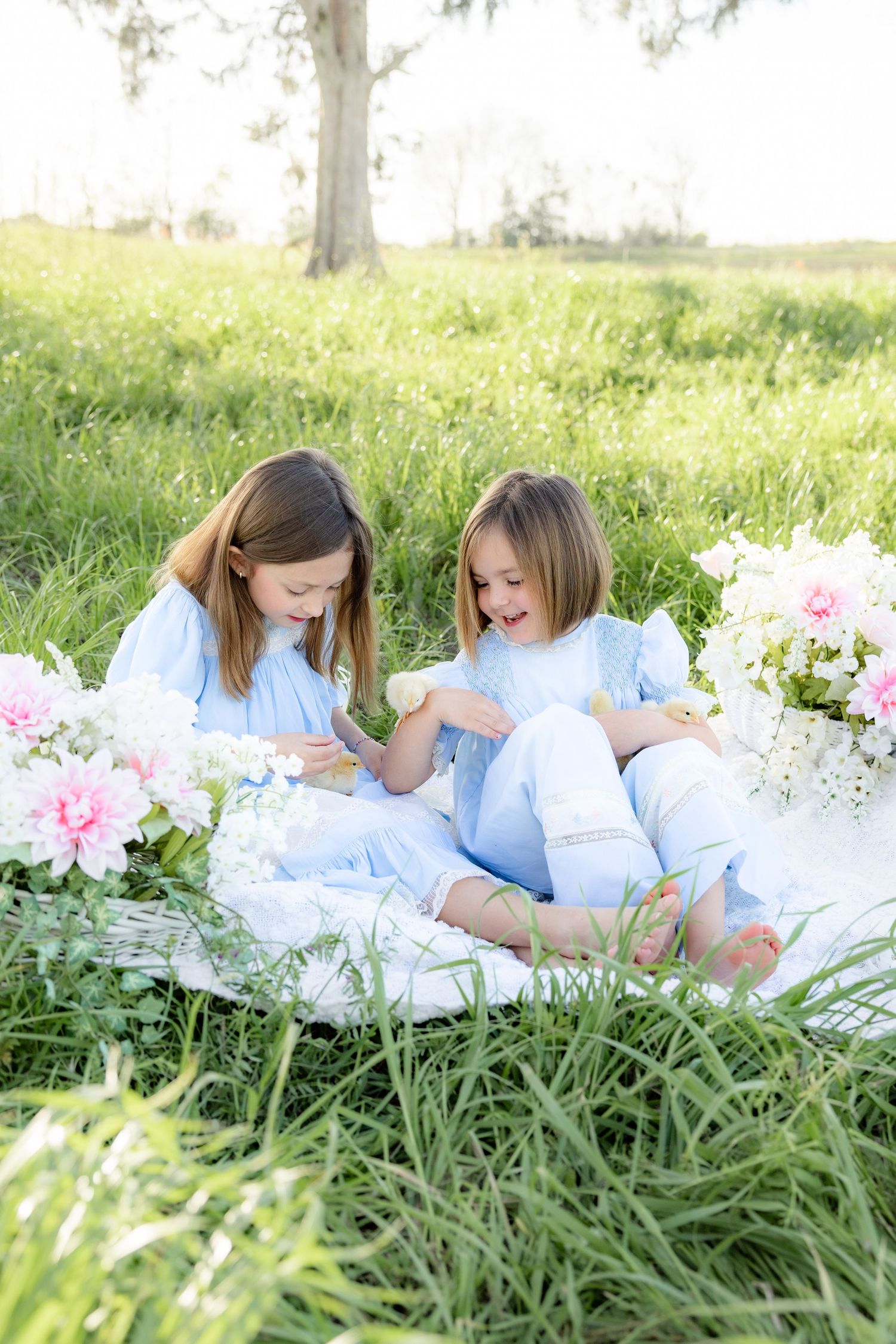 Spring Mini Session with baby chicks in a grass field at sunset near Dothan, Alabama