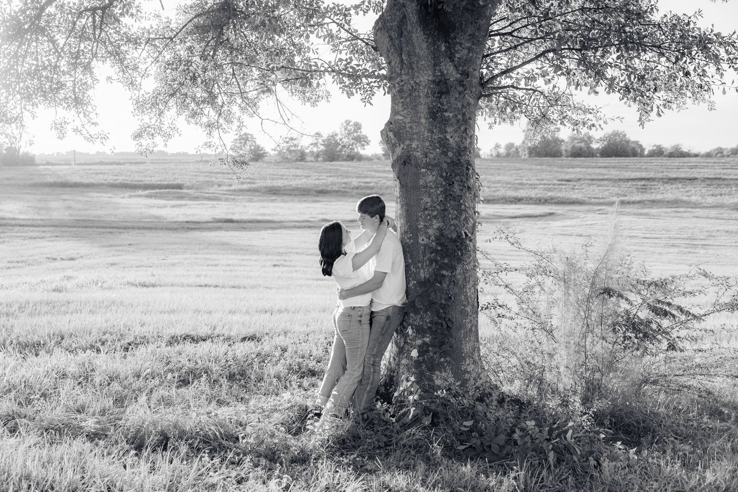 Romantic couple photos in a natural grass field setting with large trees at sunset.