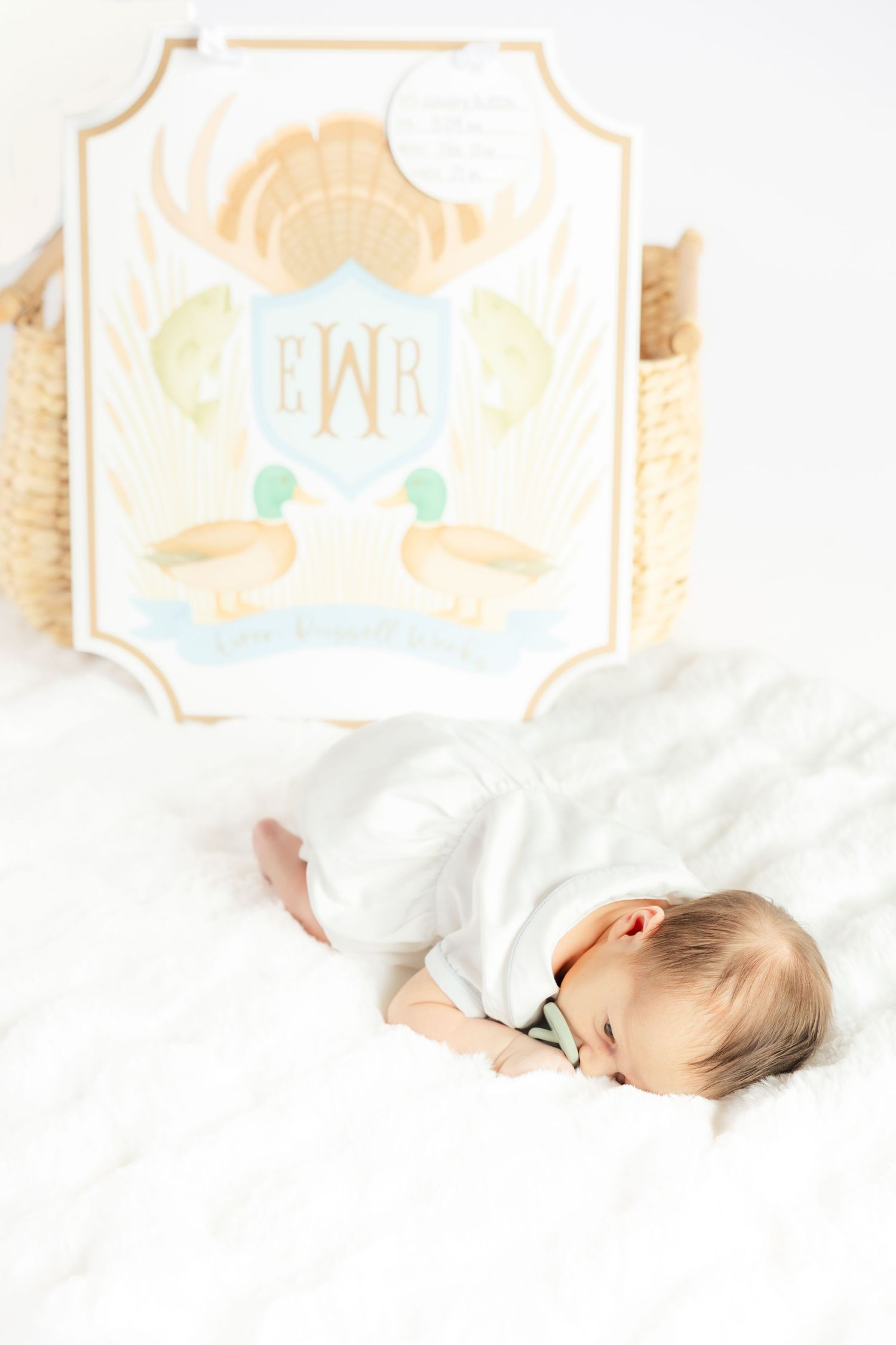 Newborn laying down in a studio in Dothan, Alabama