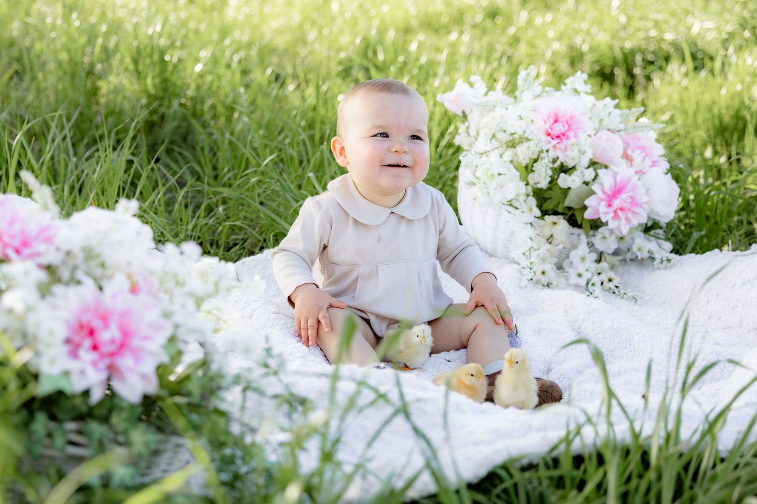 Spring Mini Session with baby chicks in a grass field at sunset near Dothan, Alabama