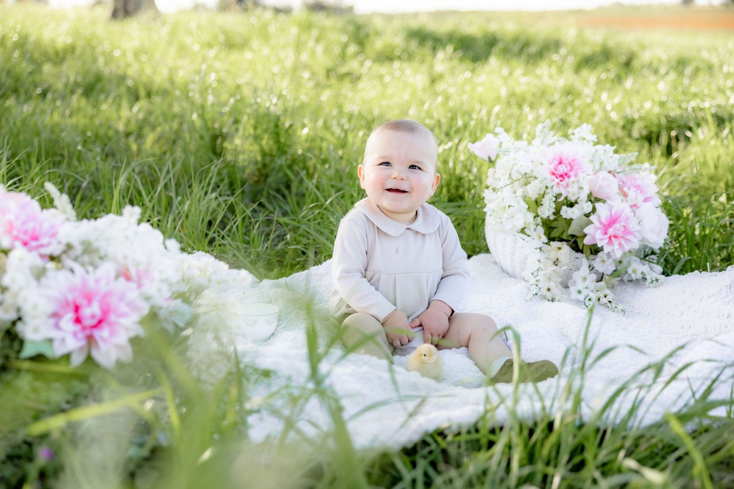 Spring Mini Session with baby chicks in a grass field at sunset near Dothan, Alabama