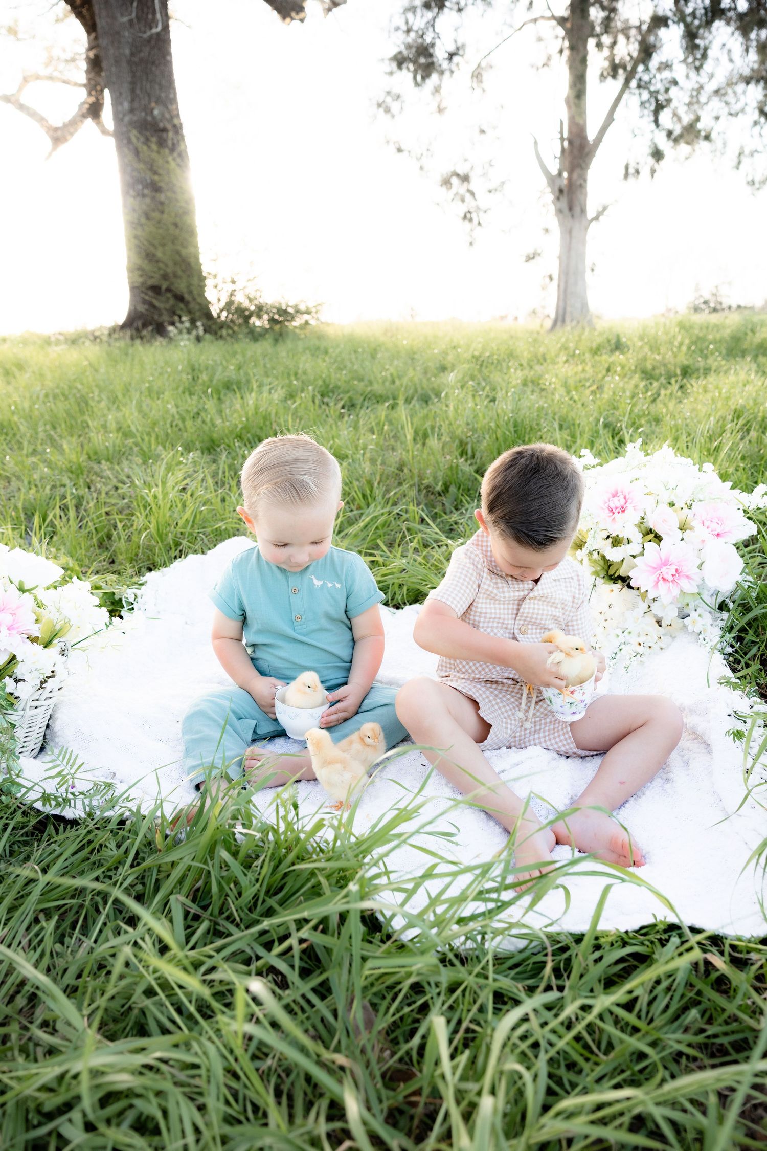Spring Mini Session with baby chicks in a grass field at sunset near Dothan, Alabama