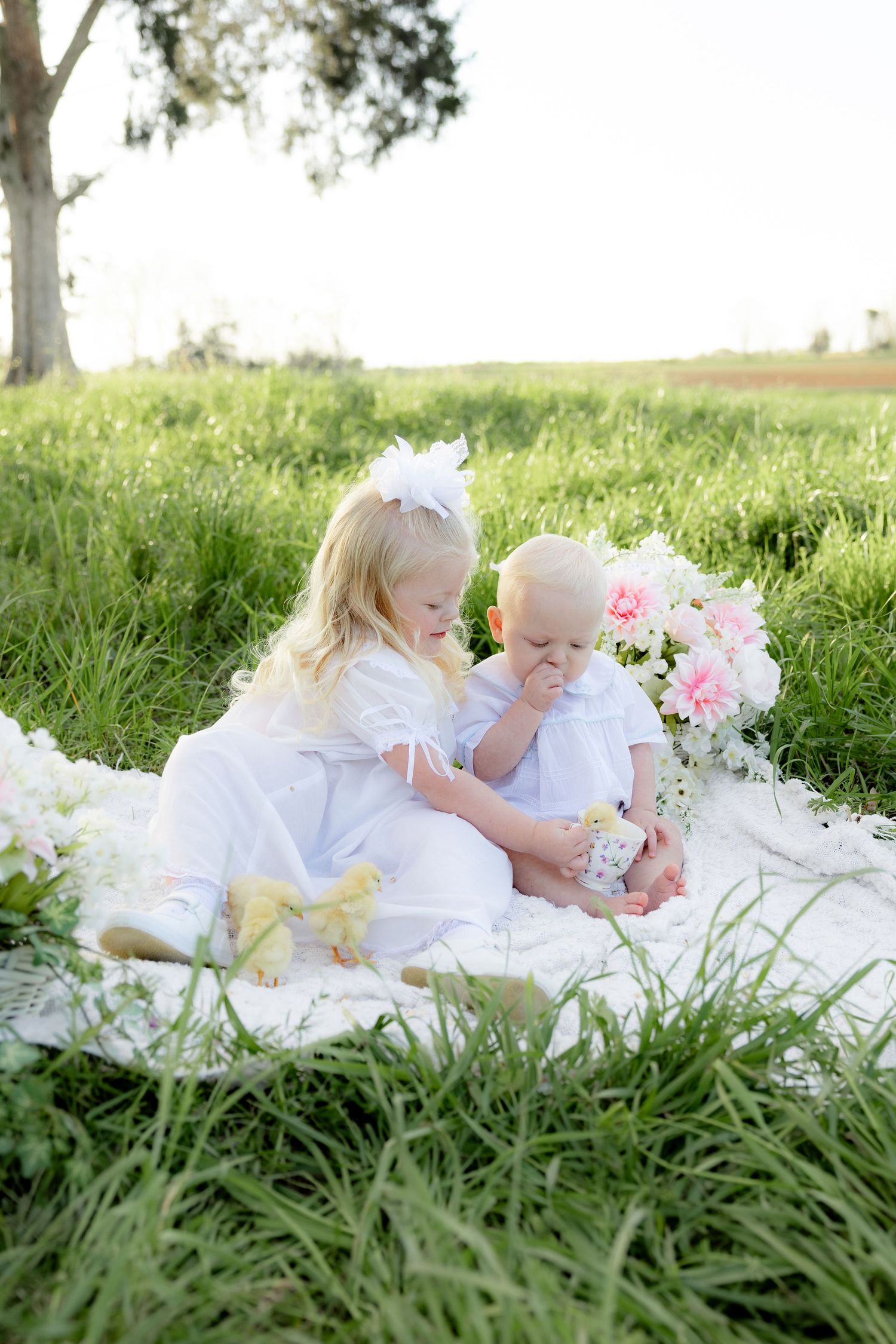Spring Mini Session with baby chicks in a grass field at sunset near Dothan, Alabama