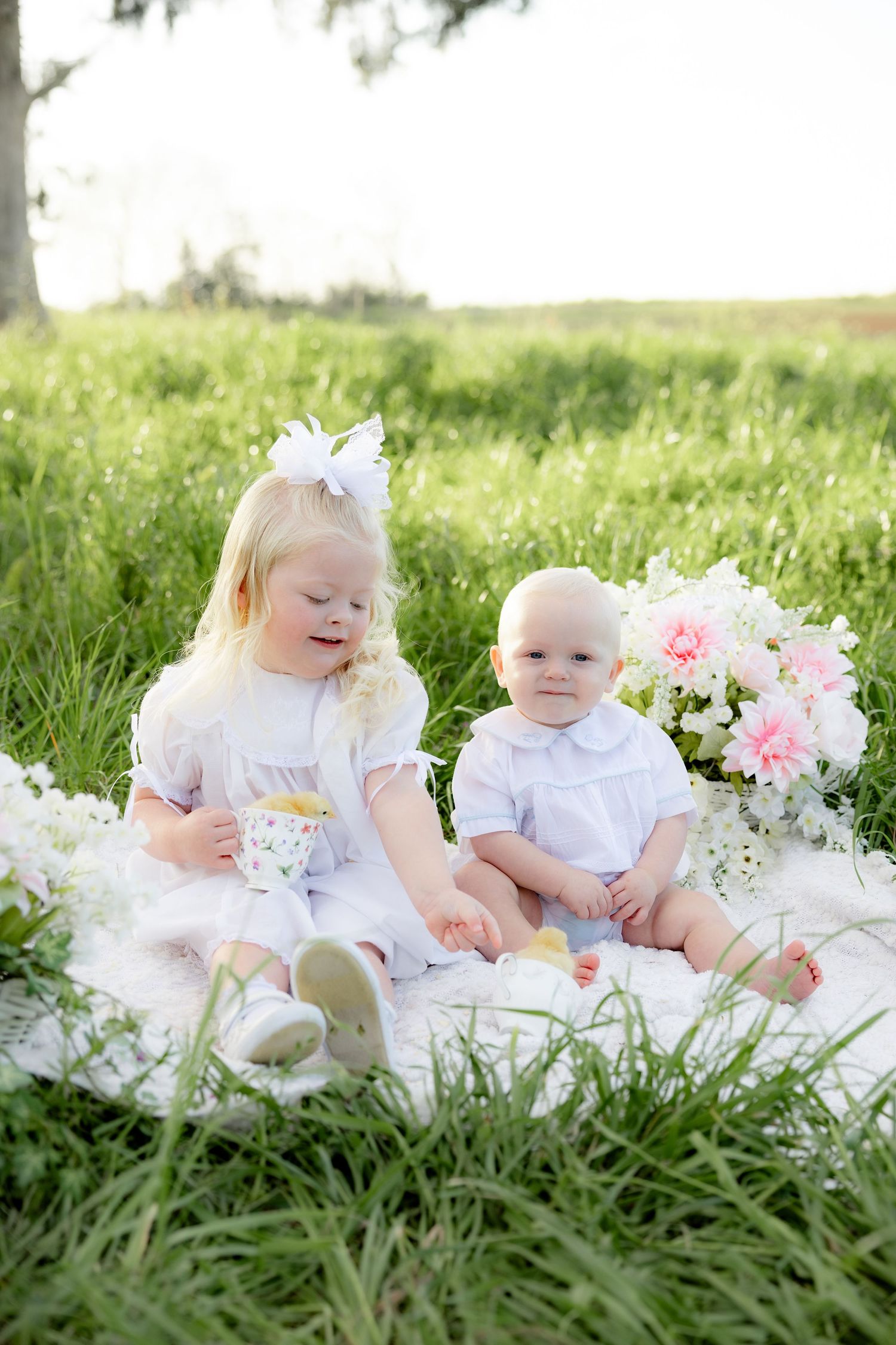 Spring Mini Session with baby chicks in a grass field at sunset near Dothan, Alabama