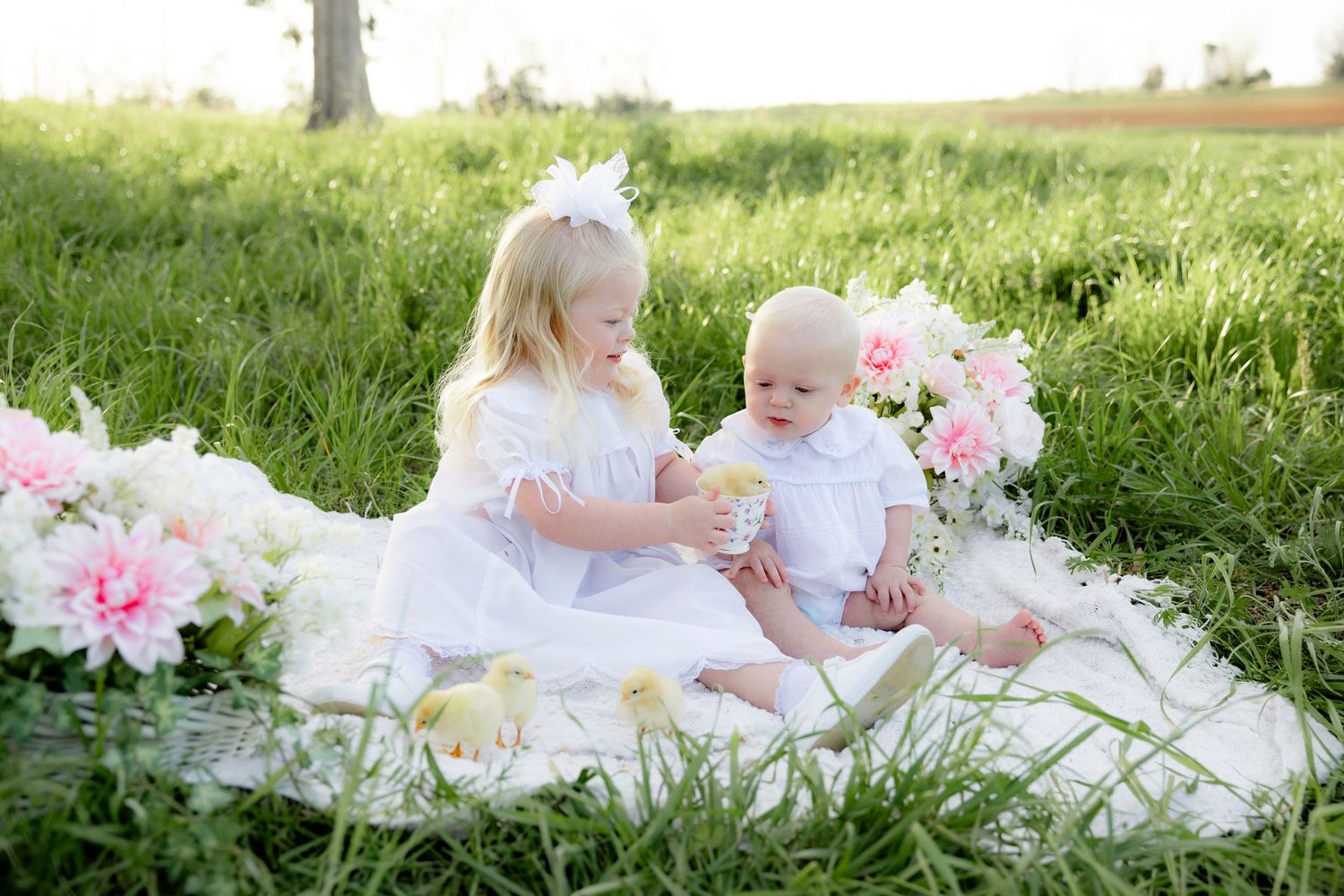 Spring Mini Session with baby chicks in a grass field at sunset near Dothan, Alabama