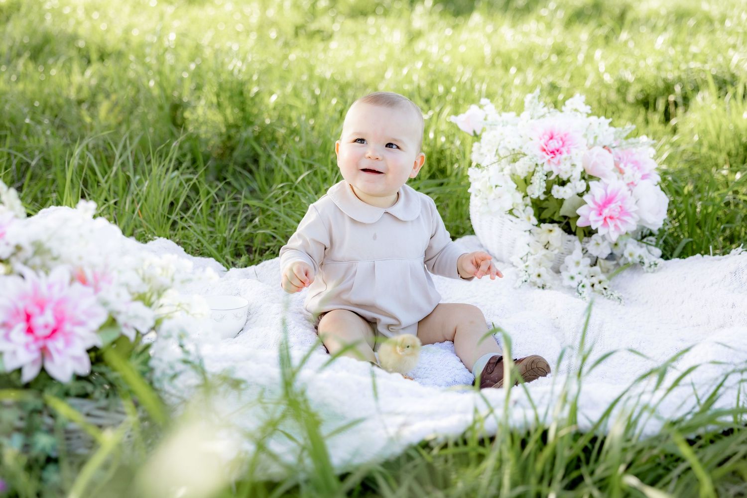 Spring Mini Session with baby chicks in a grass field at sunset near Dothan, Alabama