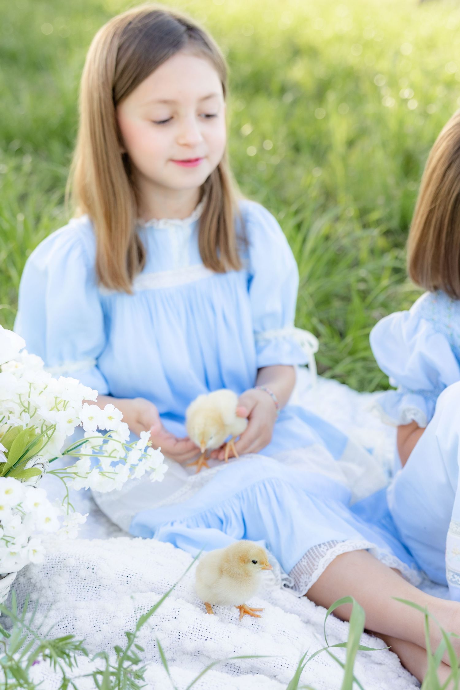 Spring Mini Session with baby chicks in a grass field at sunset near Dothan, Alabama