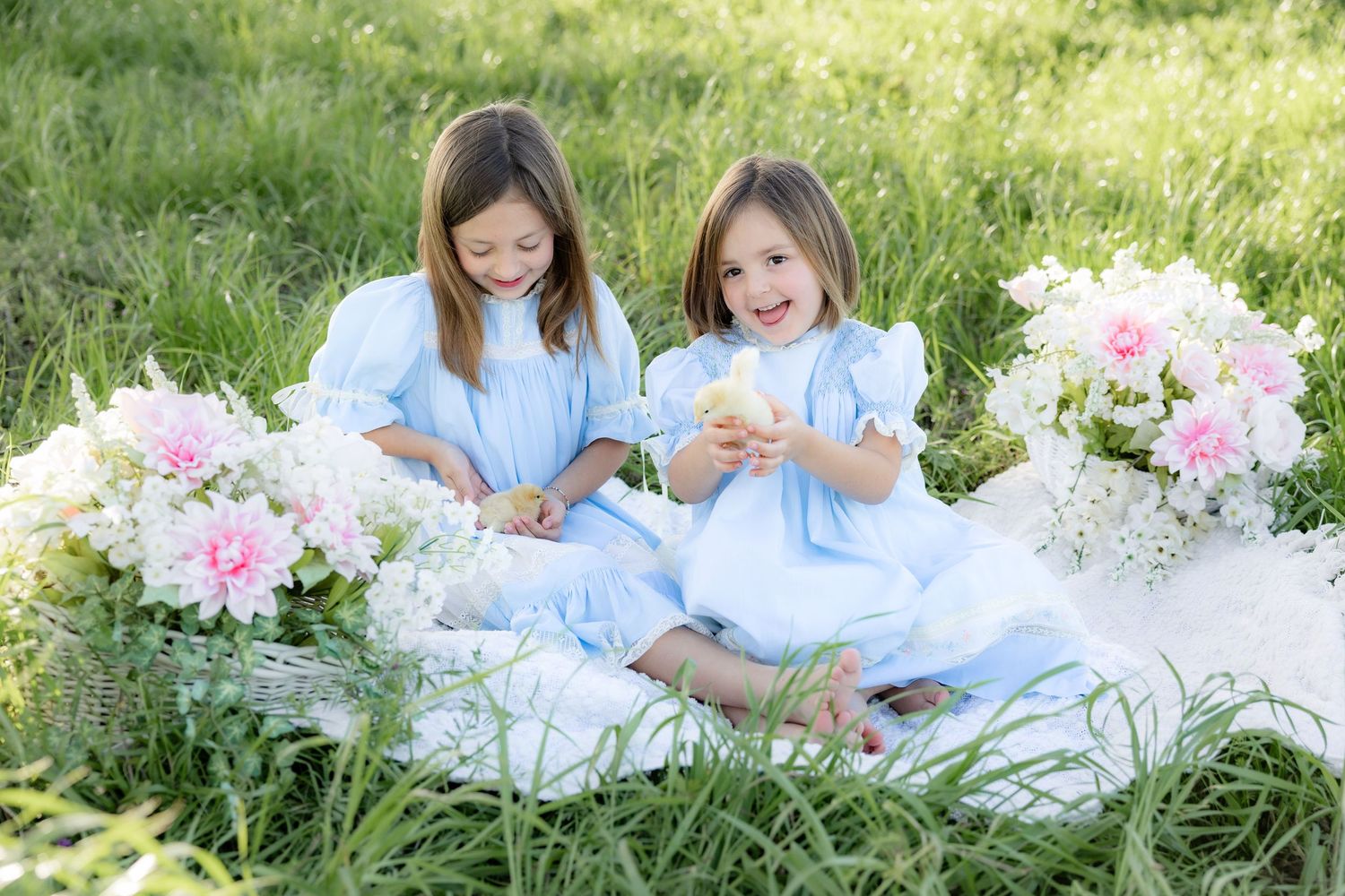 Spring Mini Session with baby chicks in a grass field at sunset near Dothan, Alabama