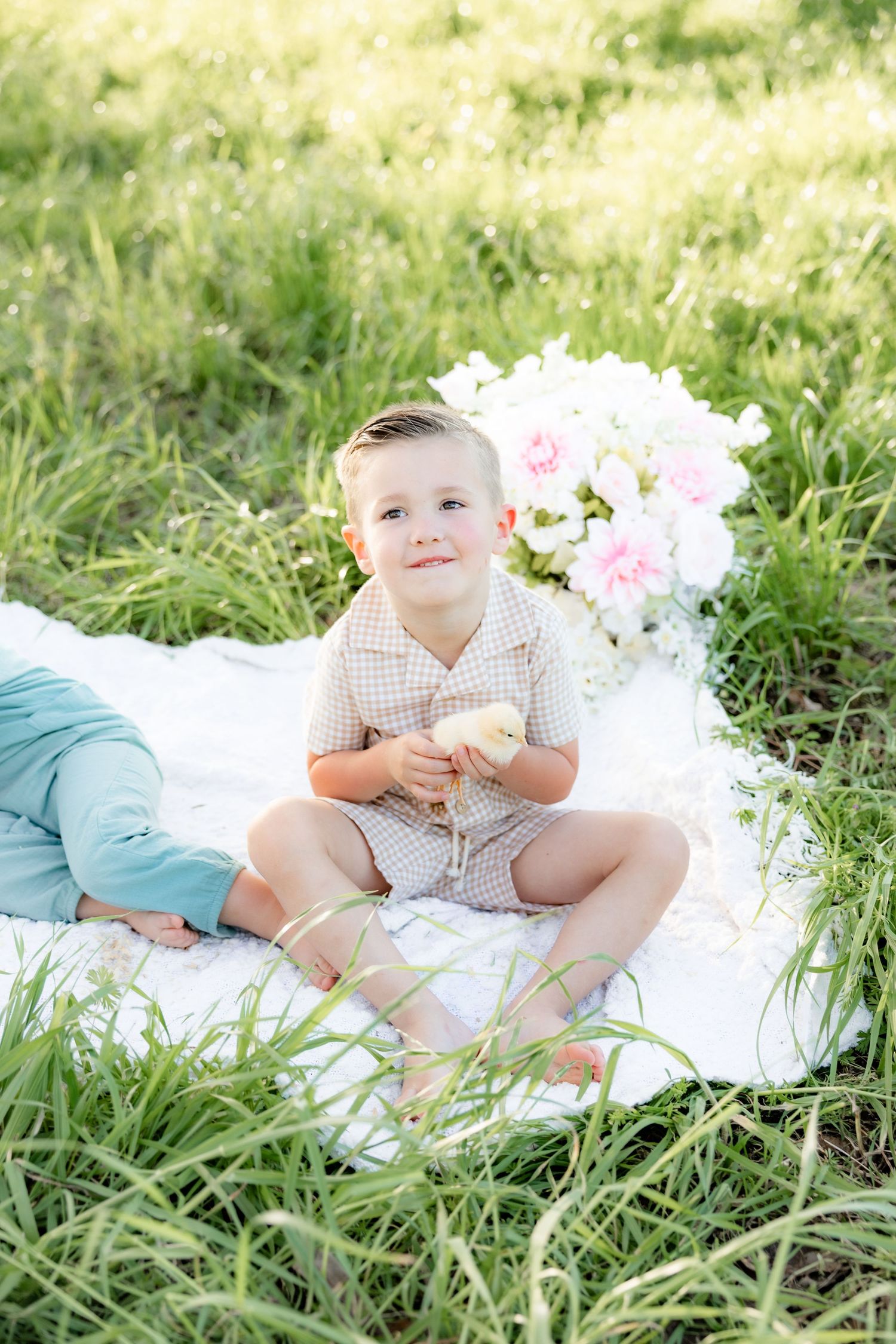Spring Mini Session with baby chicks in a grass field at sunset near Dothan, Alabama