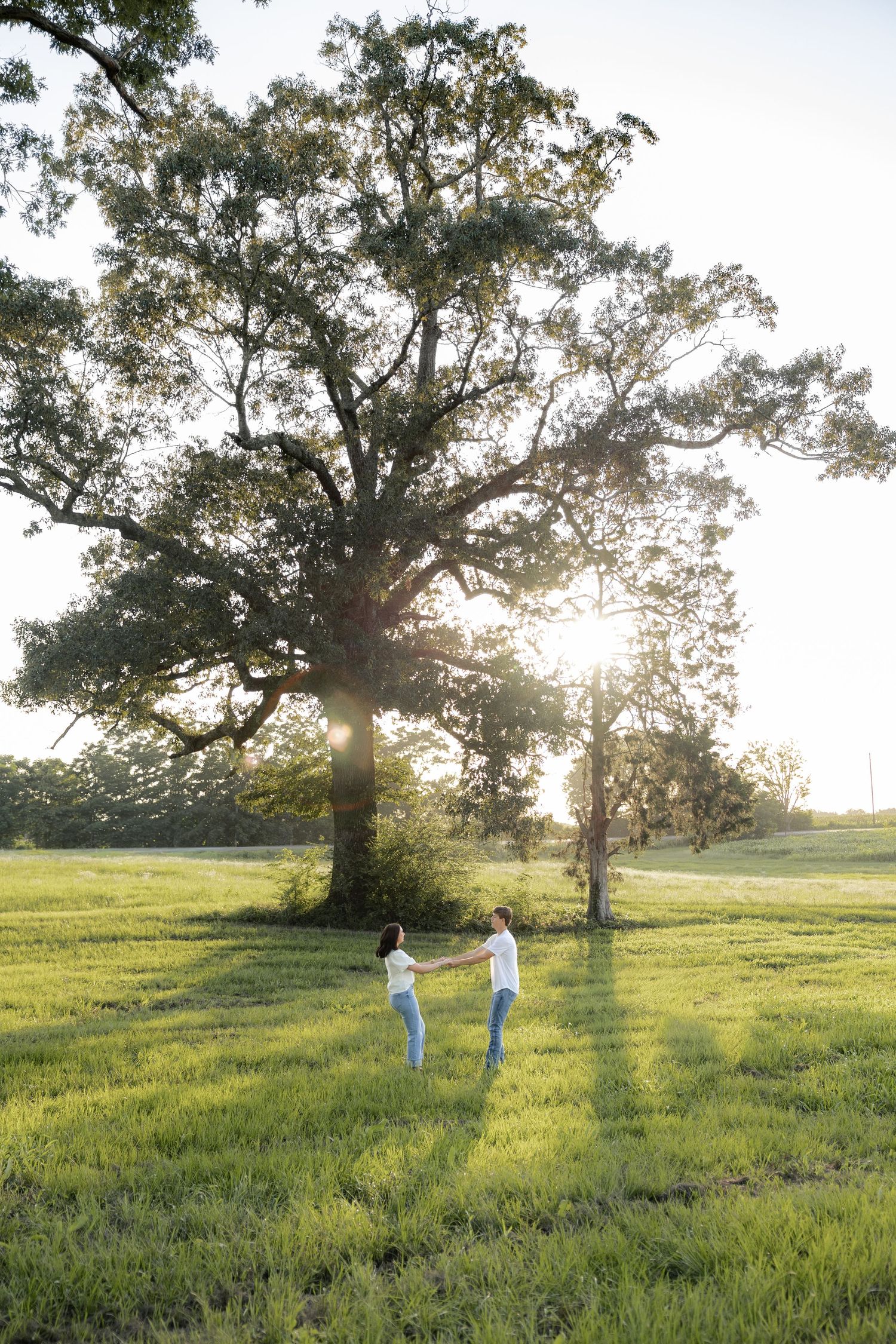 Romantic couple photos in a natural grass field setting with large trees at sunset.