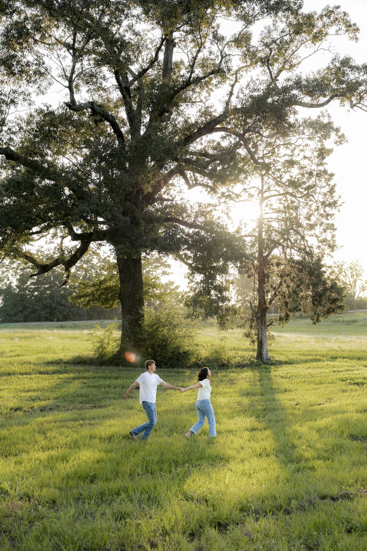 Romantic couple photos in a natural grass field setting with large trees at sunset.