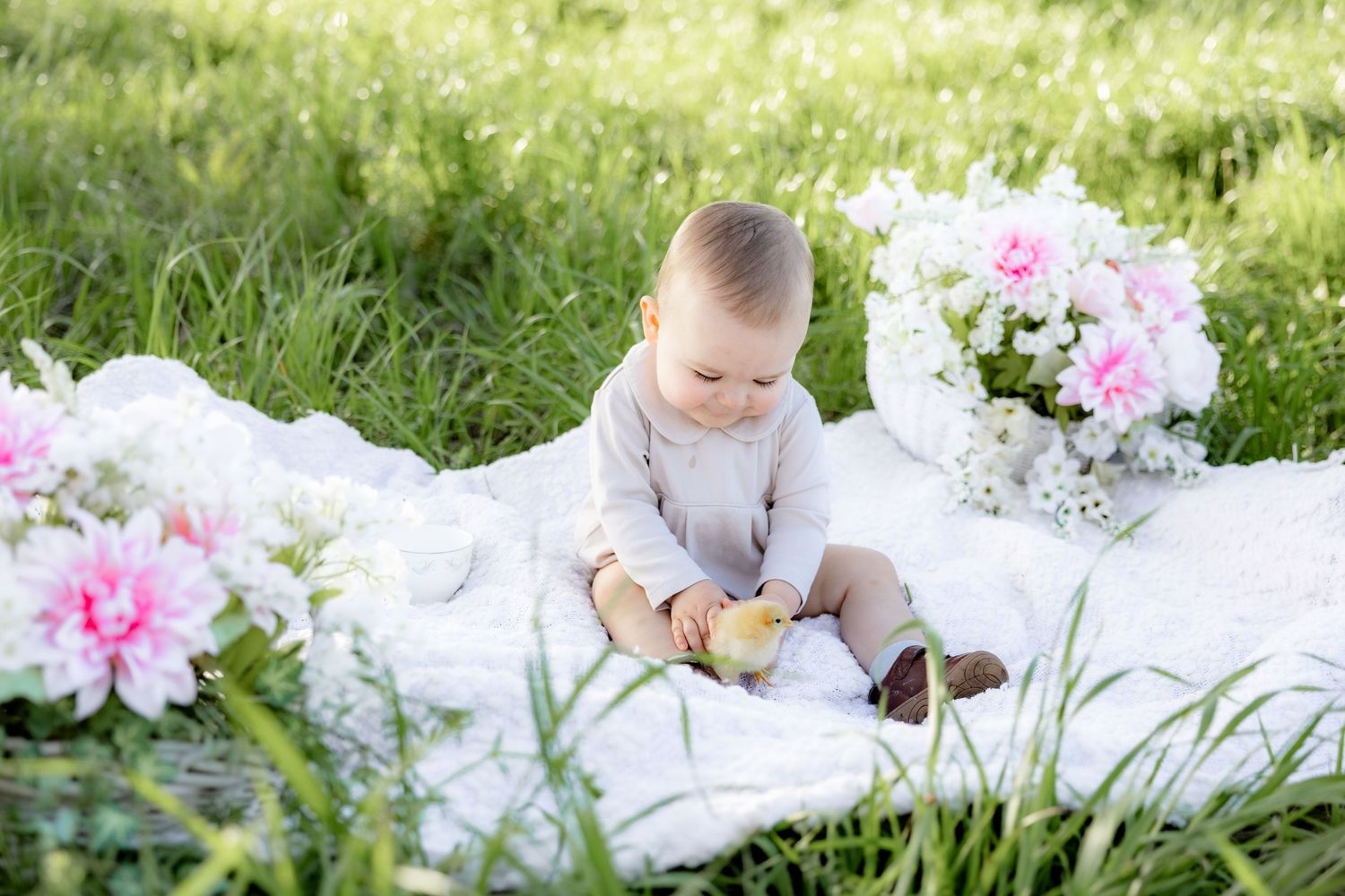 Spring Mini Session with baby chicks in a grass field at sunset near Dothan, Alabama