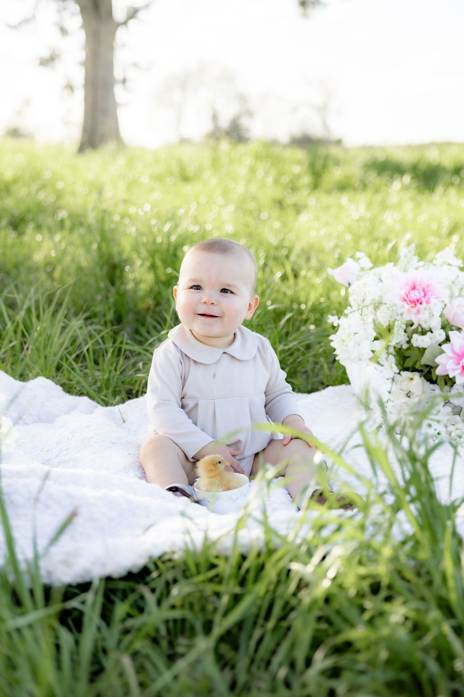 Spring Mini Session with baby chicks in a grass field at sunset near Dothan, Alabama