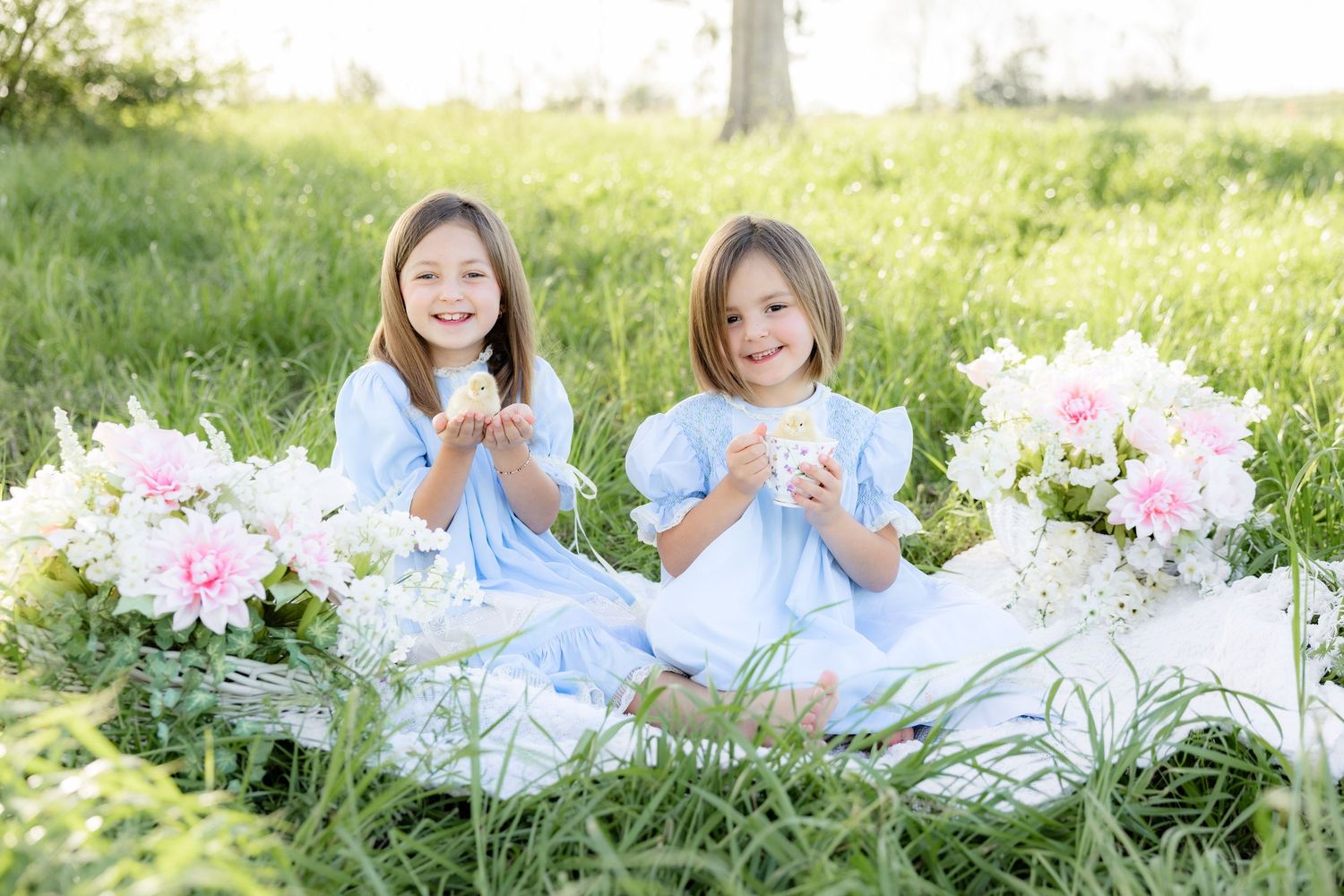 Spring Mini Session with baby chicks in a grass field at sunset near Dothan, Alabama