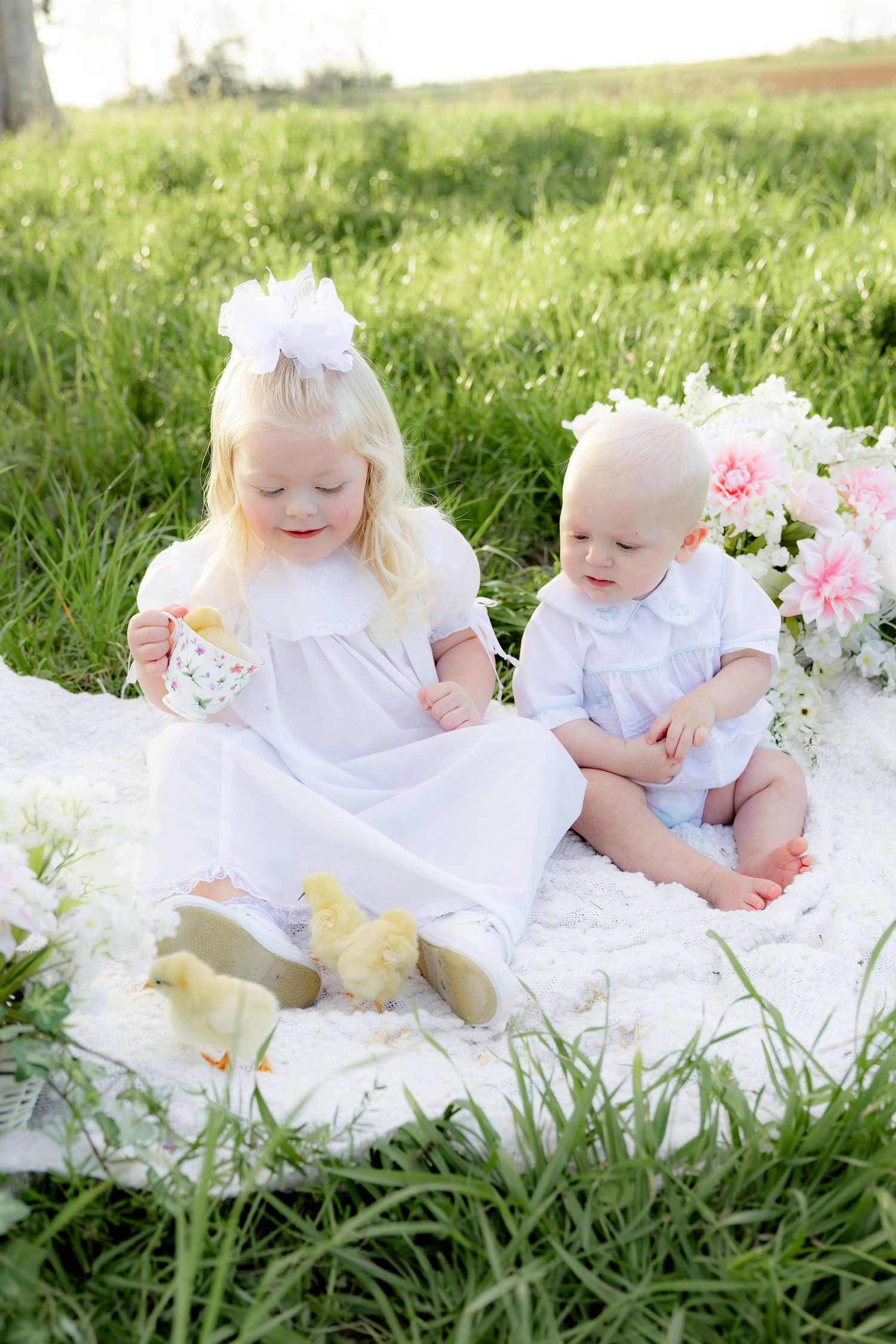 Spring Mini Session with baby chicks in a grass field at sunset near Dothan, Alabama