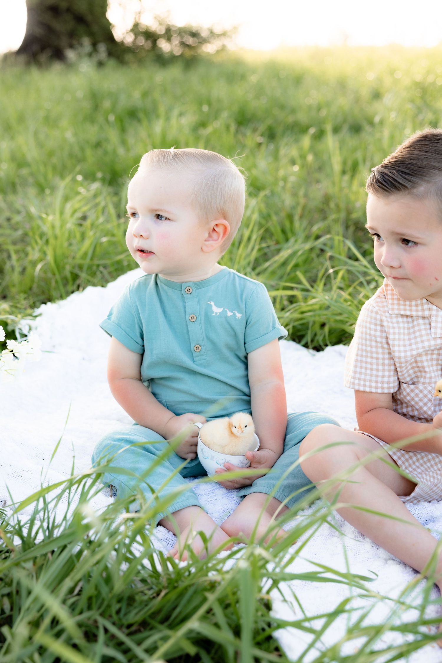 Spring Mini Session with baby chicks in a grass field at sunset near Dothan, Alabama