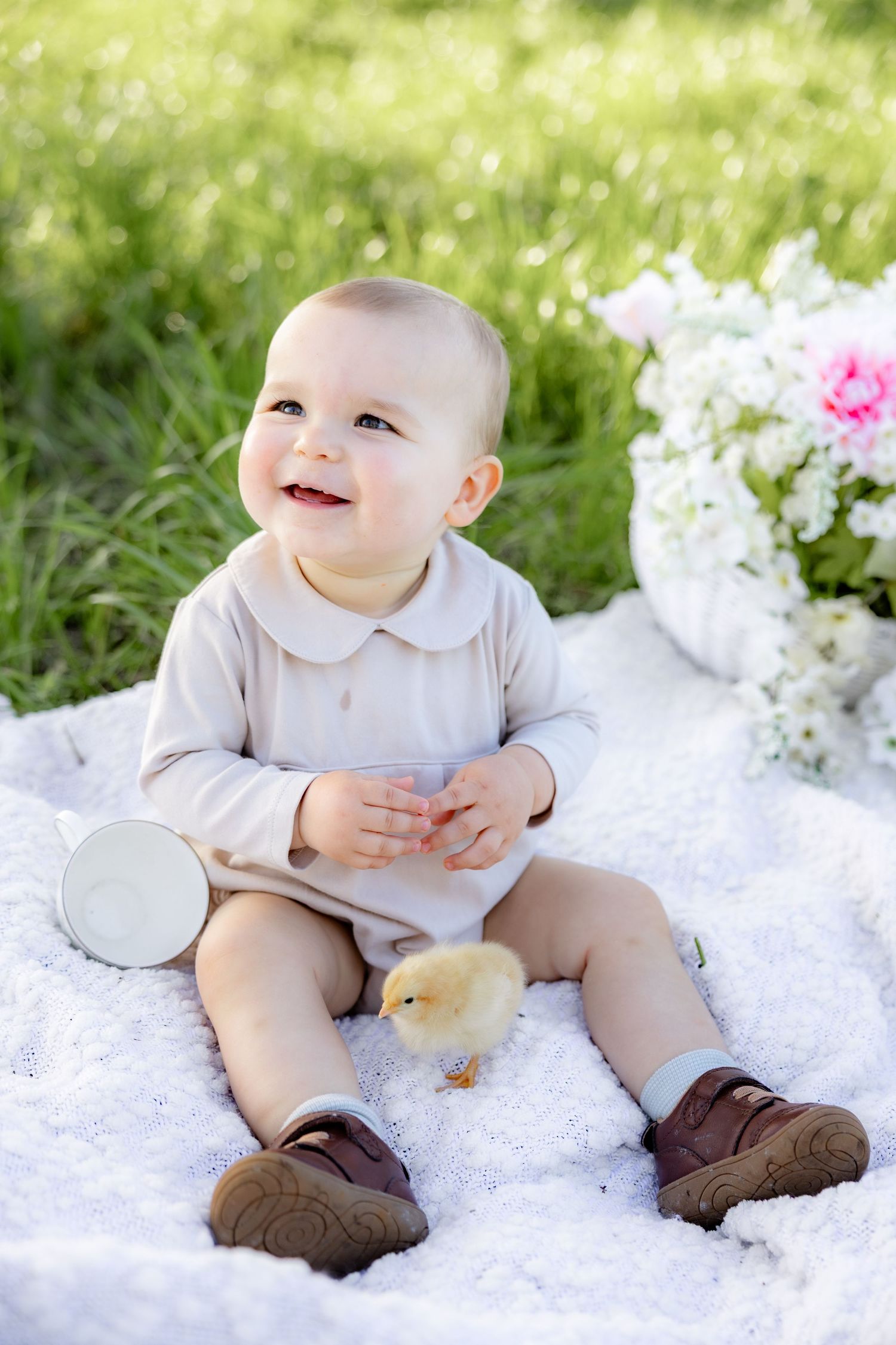 Spring Mini Session with baby chicks in a grass field at sunset near Dothan, Alabama