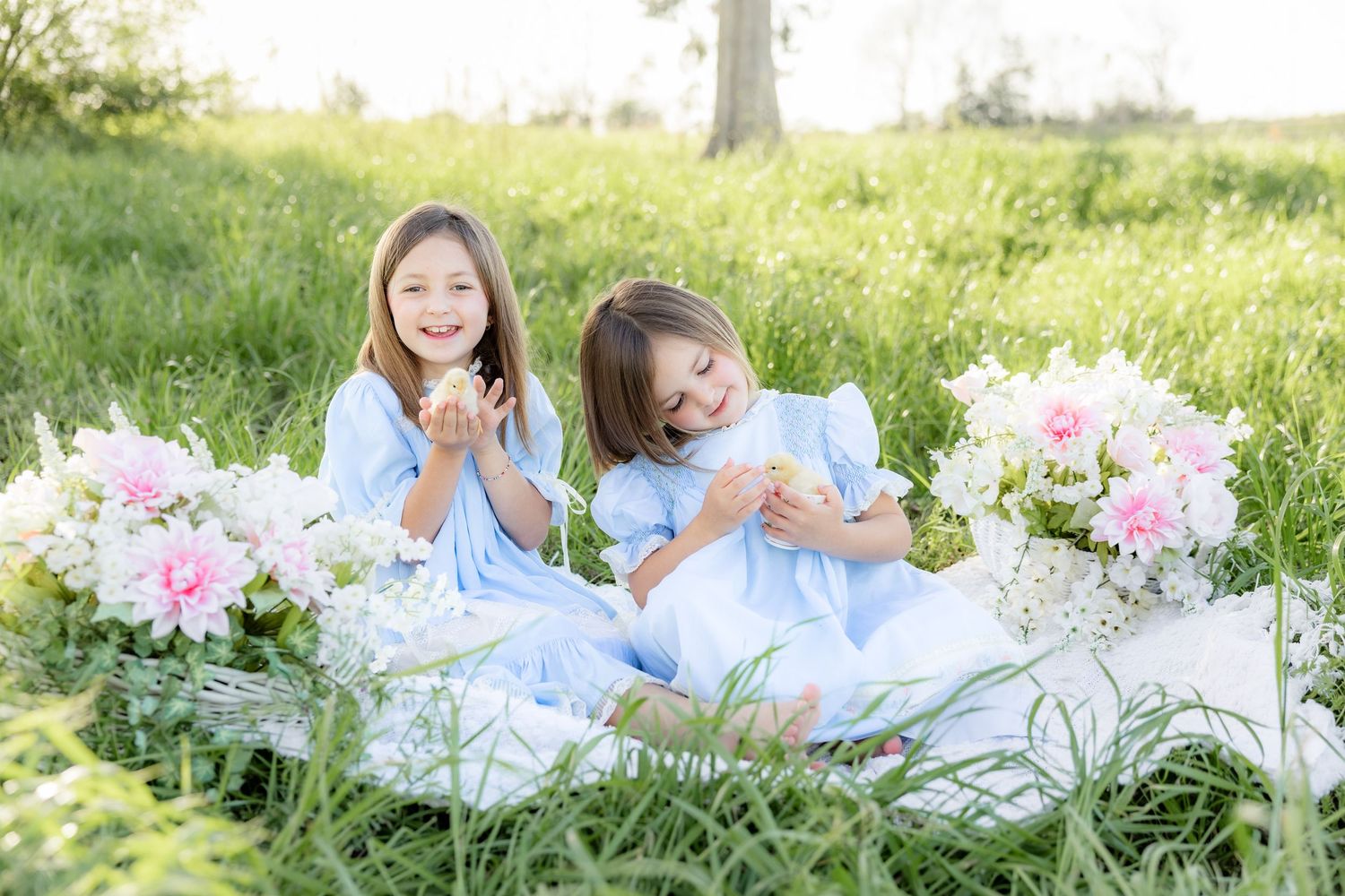 Spring Mini Session with baby chicks in a grass field at sunset near Dothan, Alabama