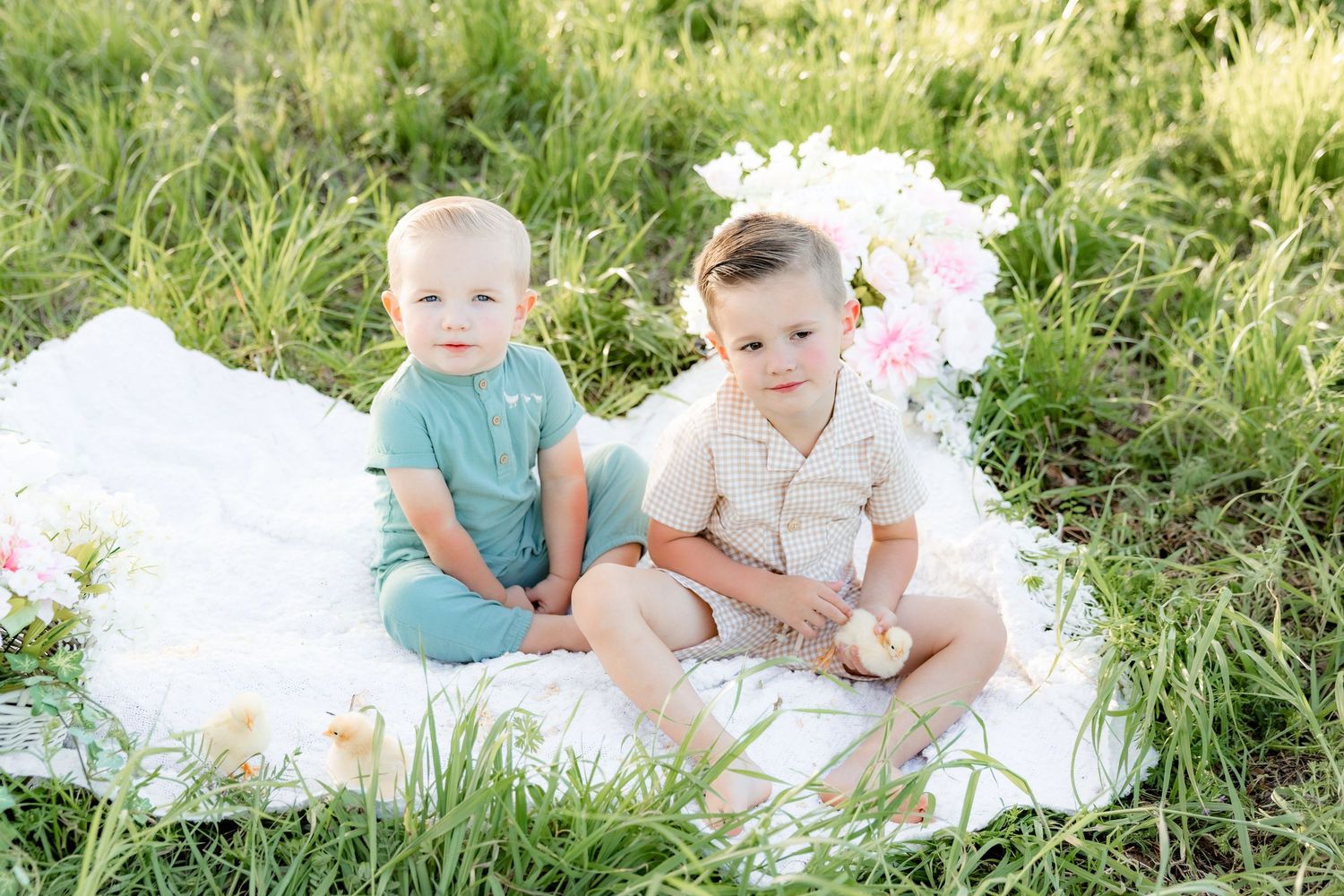Spring Mini Session with baby chicks in a grass field at sunset near Dothan, Alabama
